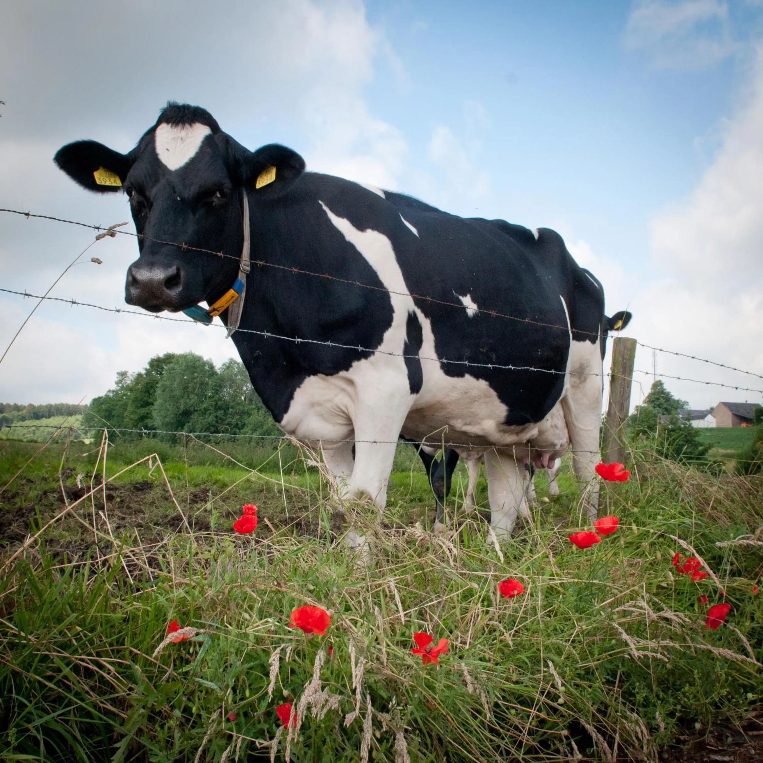 Other in Hotel Restaurant Vijlerhof
