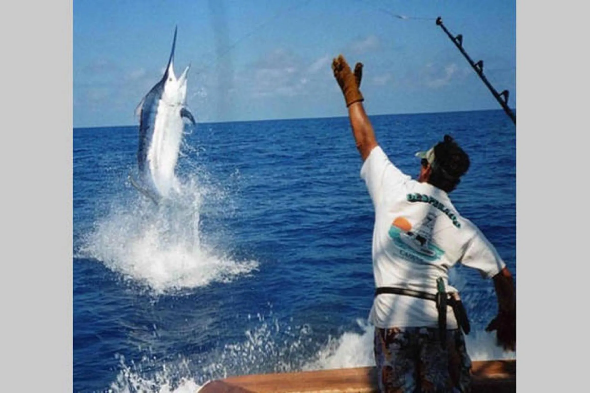 Fishing in Trou Aux Biches Self Catering Apartment