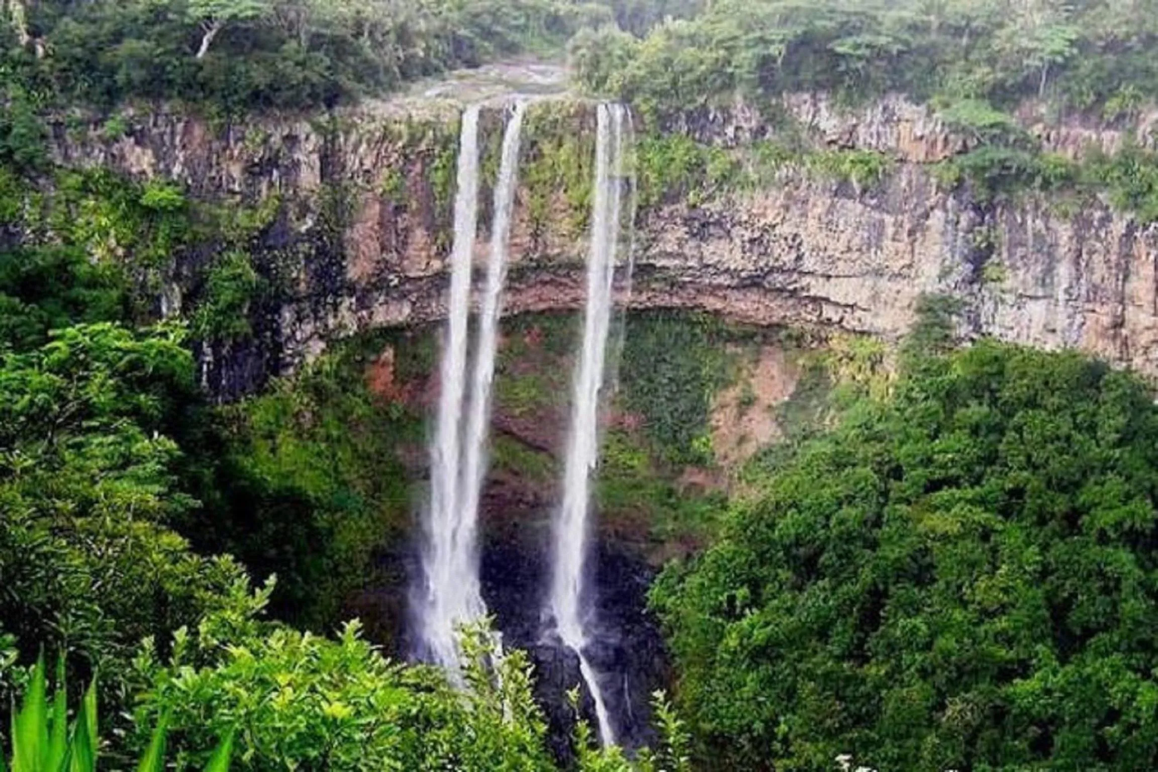 Natural landscape in Trou Aux Biches Self Catering Apartment