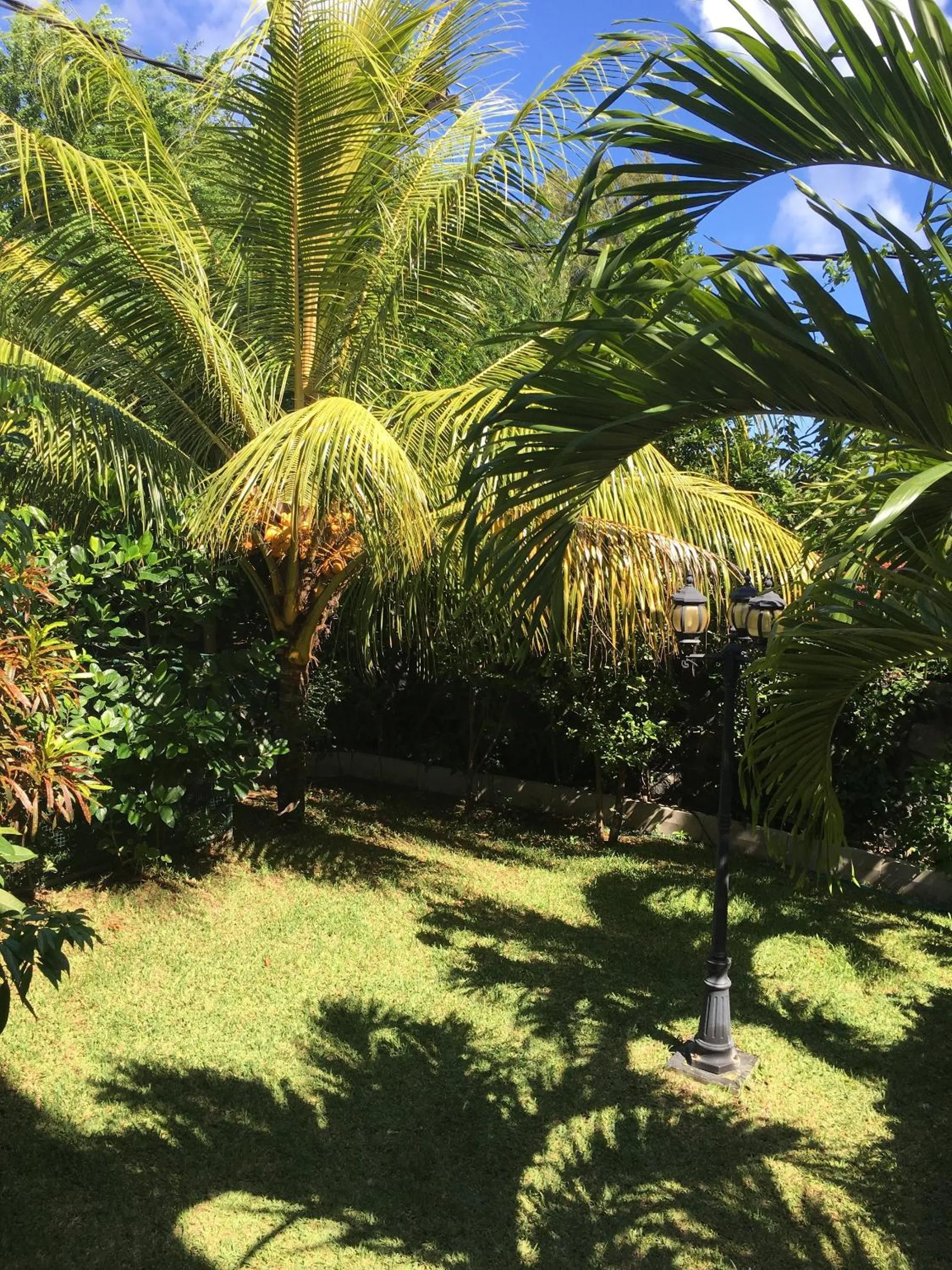 Garden in Trou Aux Biches Self Catering Apartment