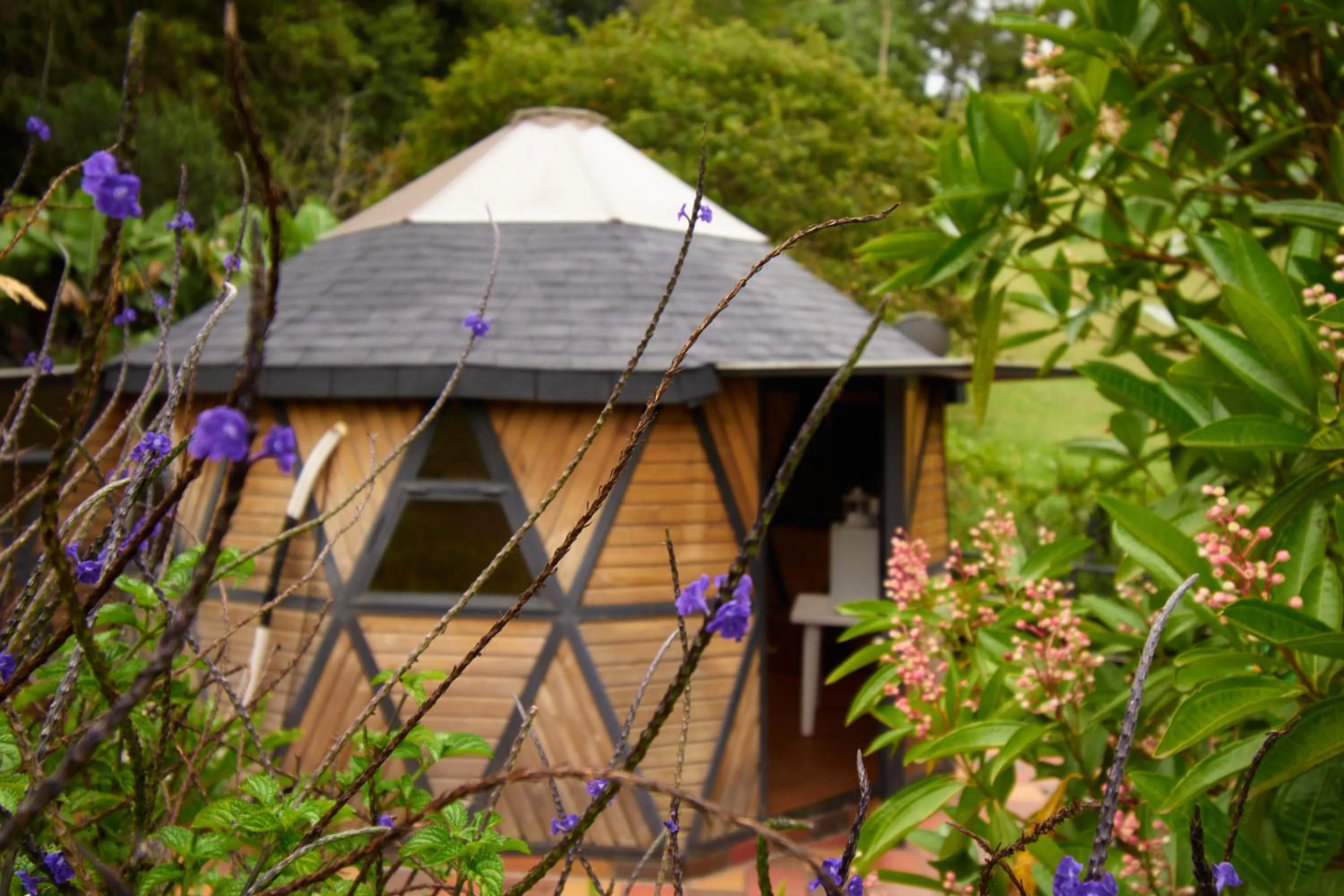 Garden in Kokumi by Bernalo Hotels