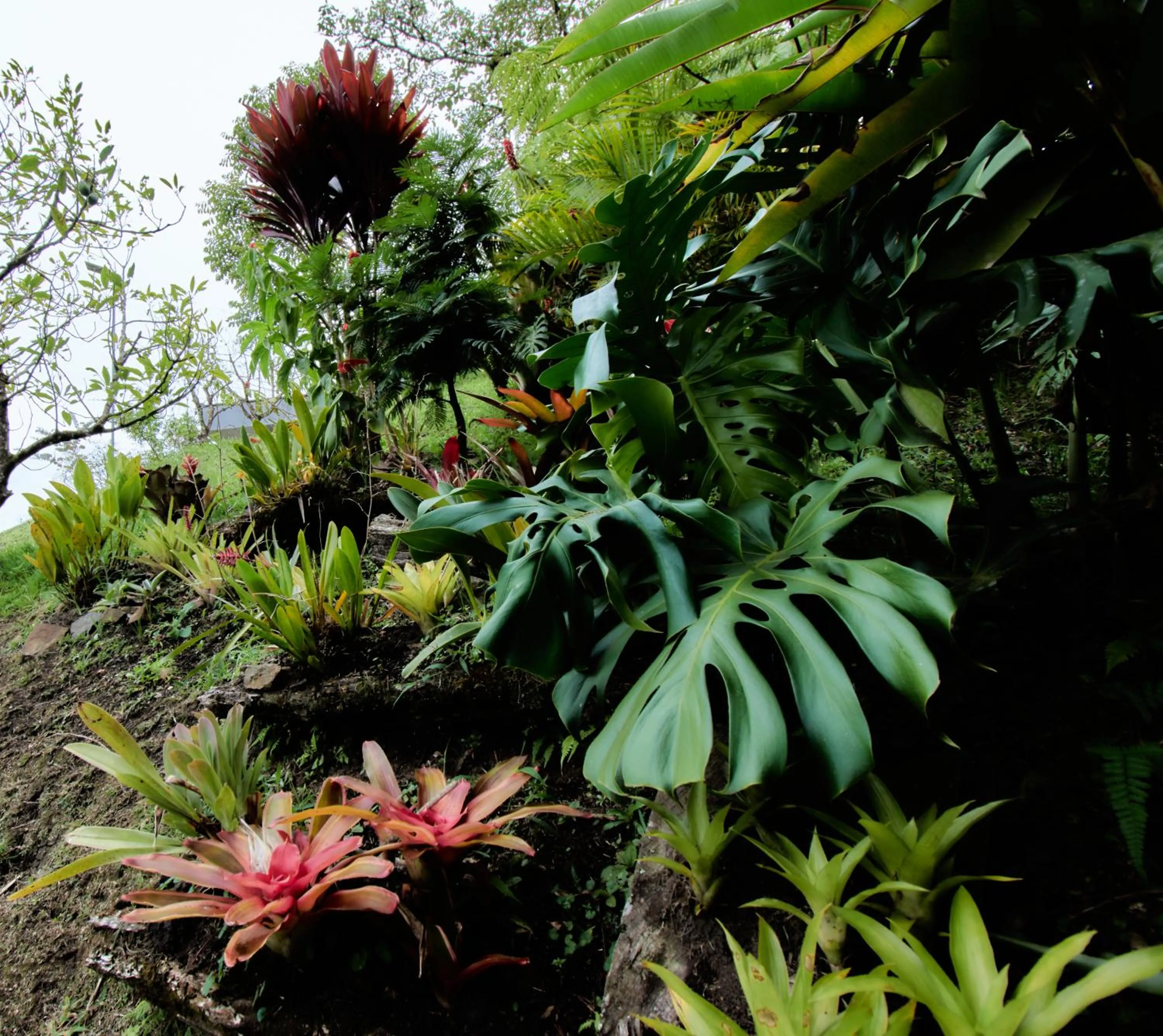 Garden in Kokumi by Bernalo Hotels