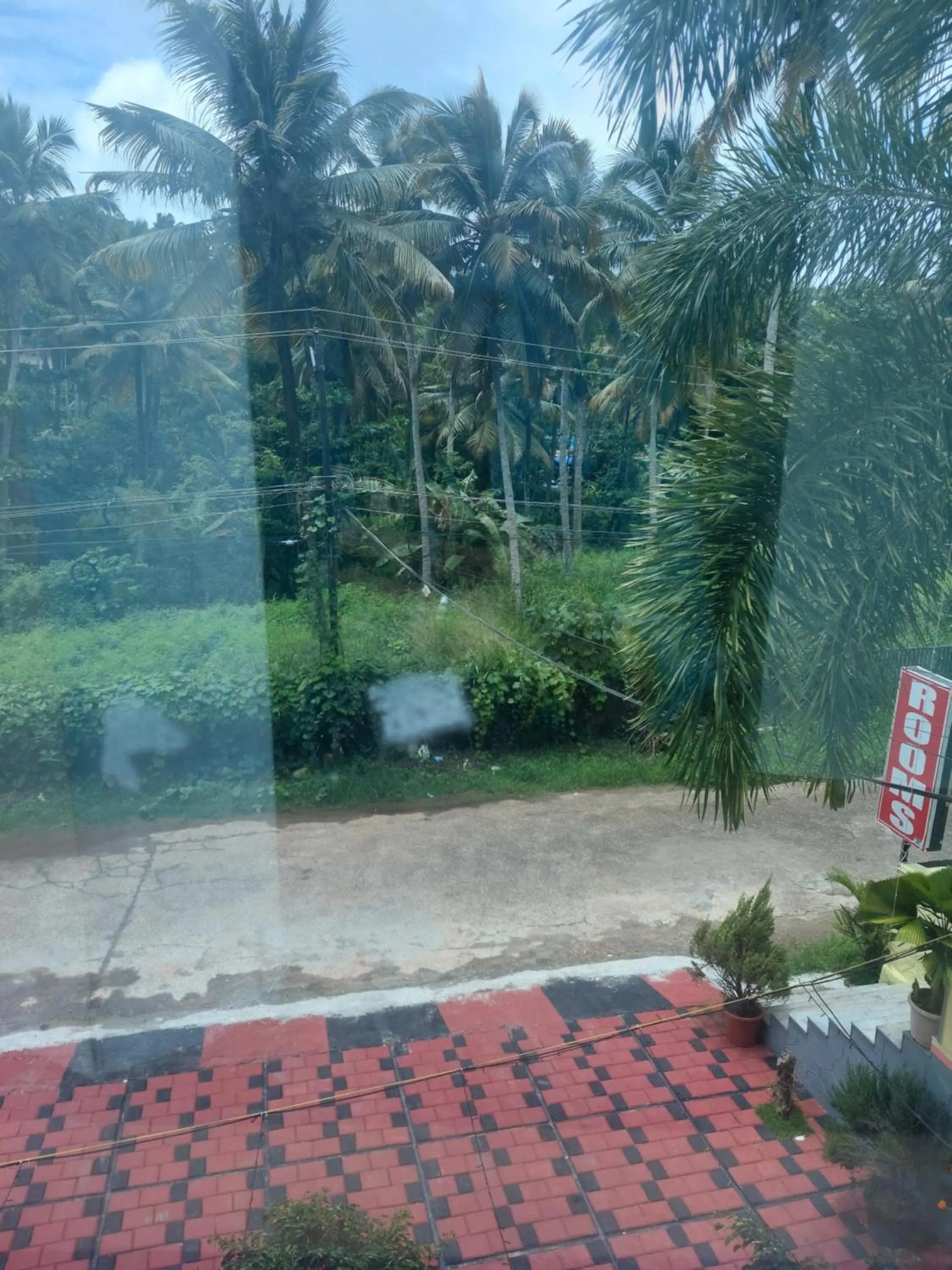 Natural landscape in Padmatheertham Inn