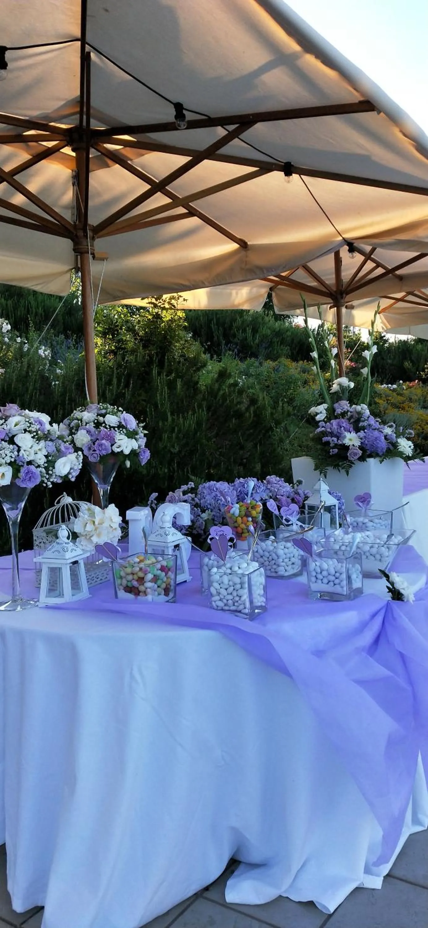 Restaurant/places to eat in Tenuta Borgo San Michele