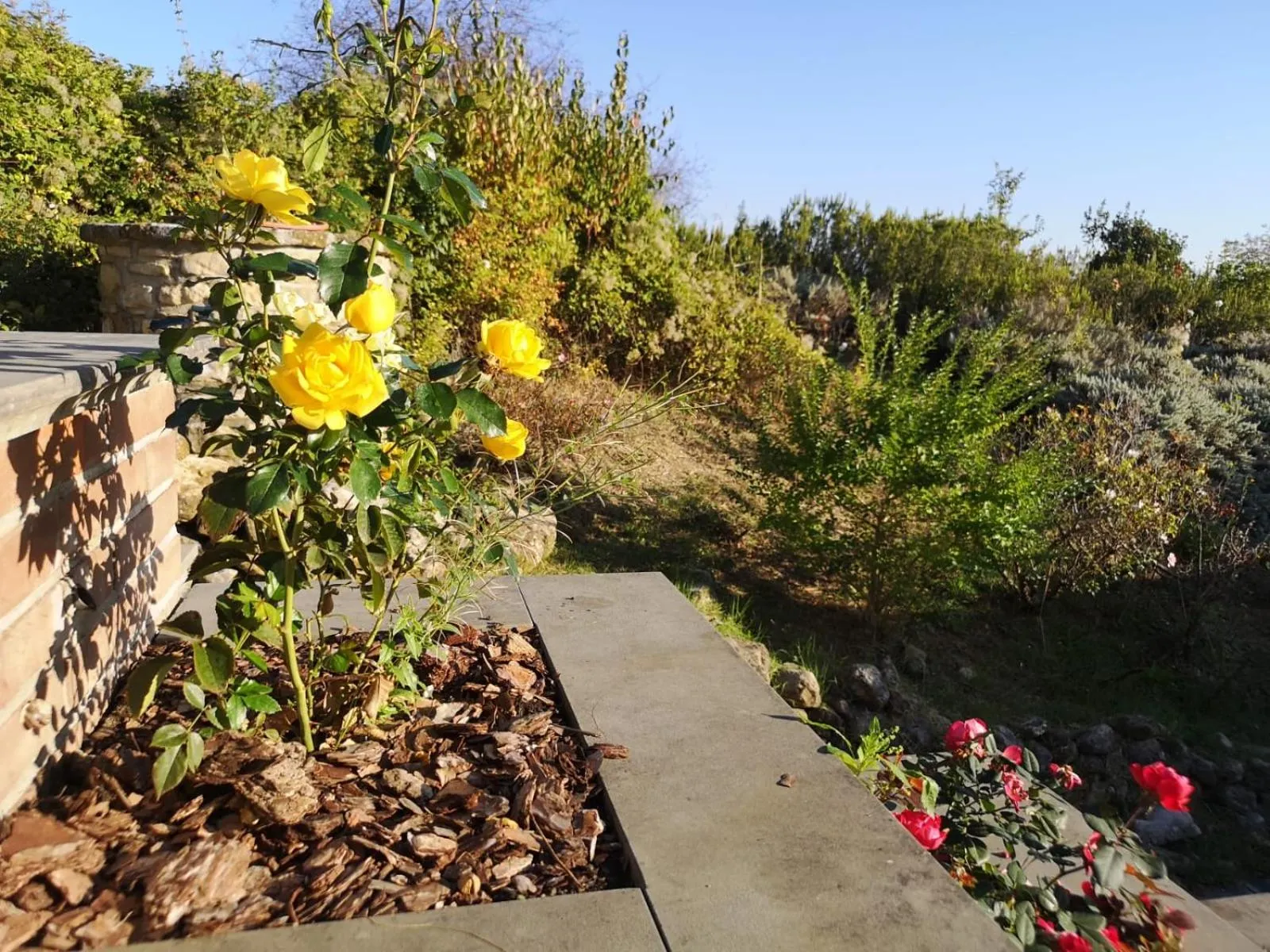 Garden in Tenuta Borgo San Michele