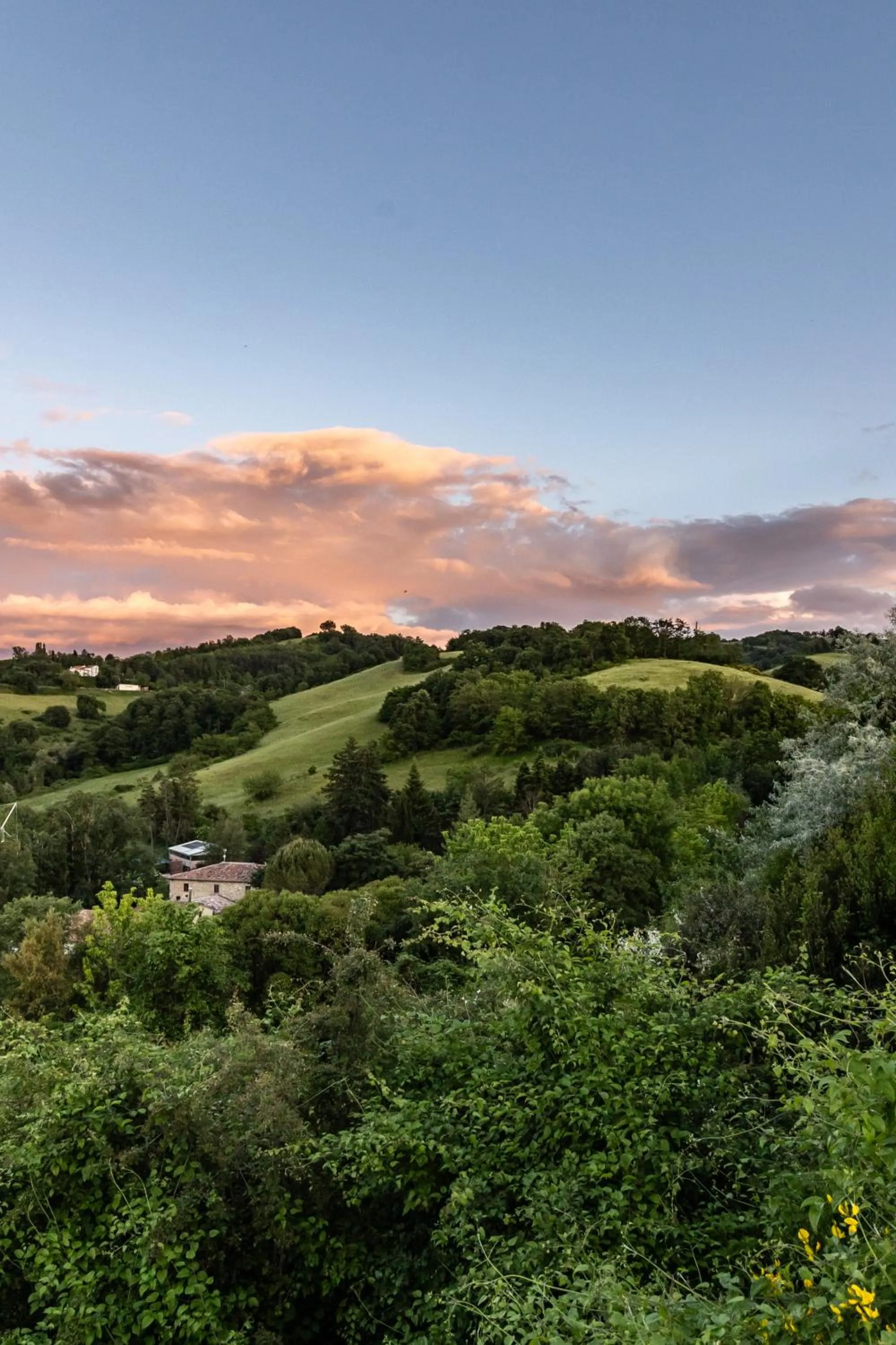 Tenuta Borgo San Michele