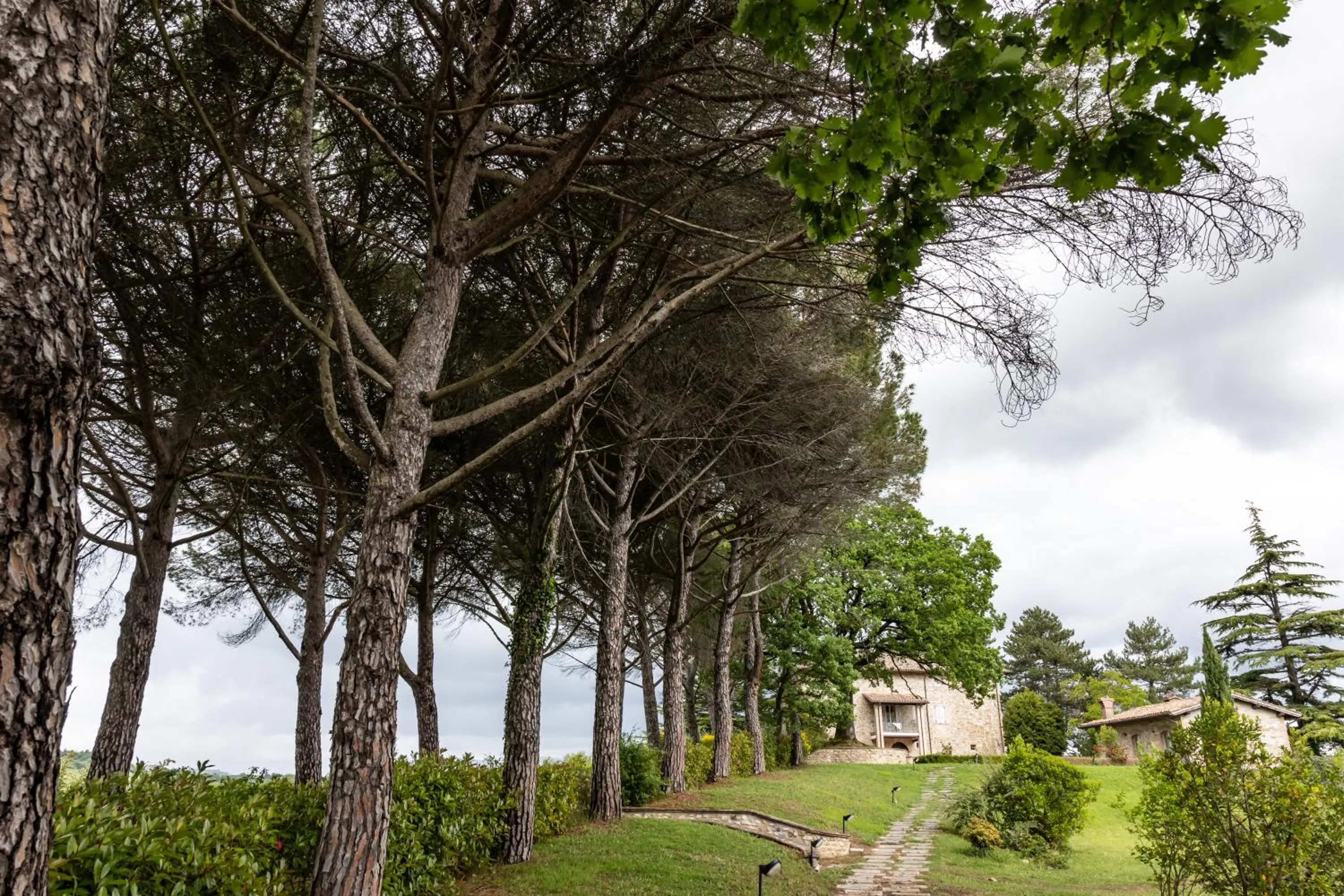 Tenuta Borgo San Michele