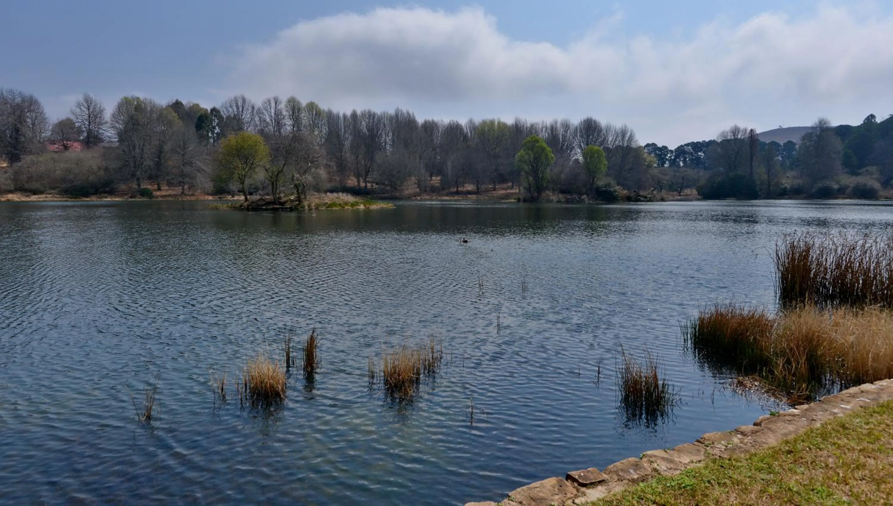 Natural landscape in Dunkeld East