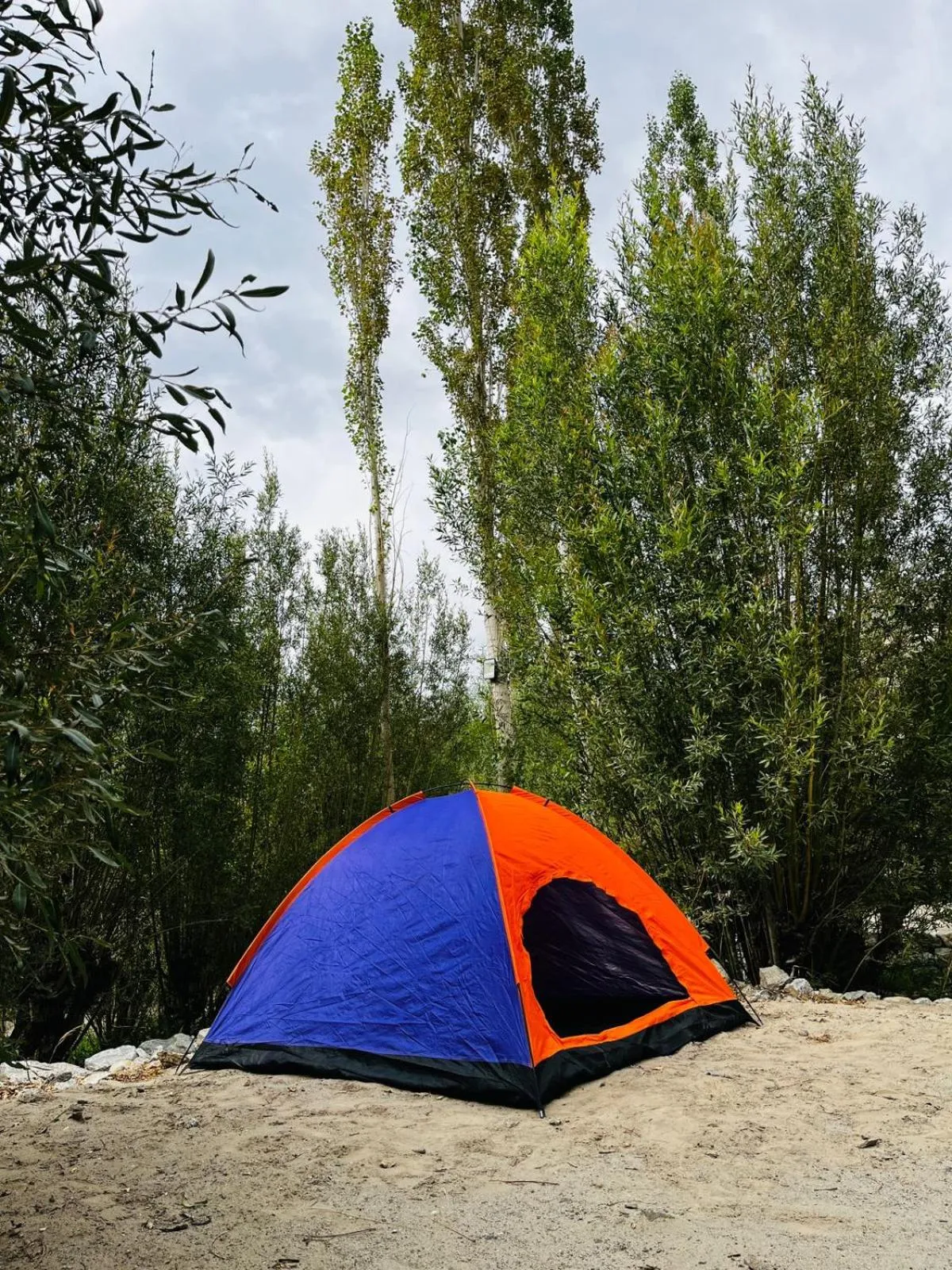 Thiksay Organic Resort and Retreat