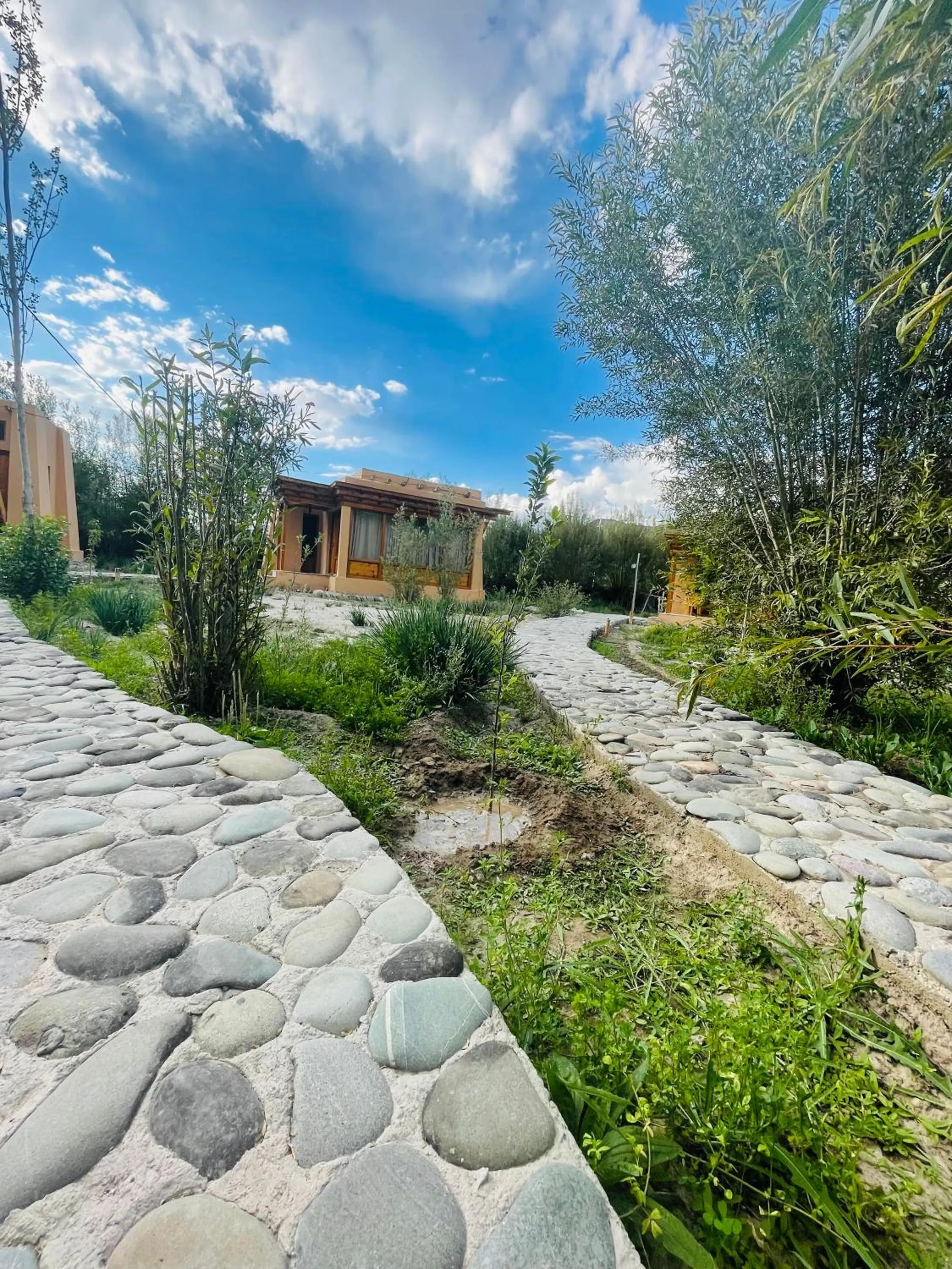 Garden in Thiksay Organic Resort and Retreat