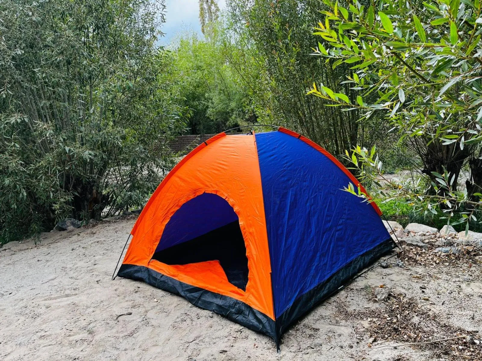 Thiksay Organic Resort and Retreat