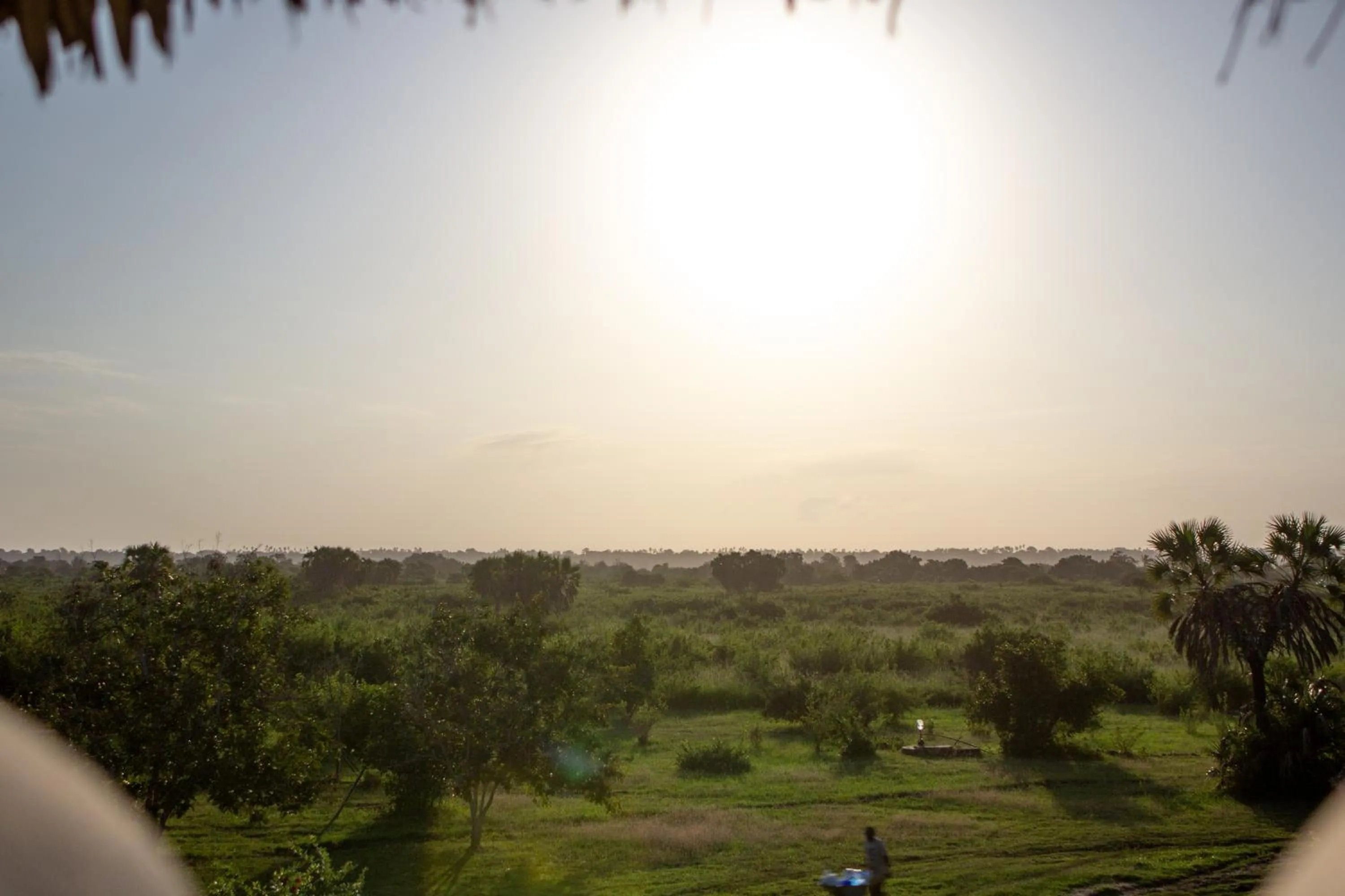 Garden in Pangani Cliffs Lodge