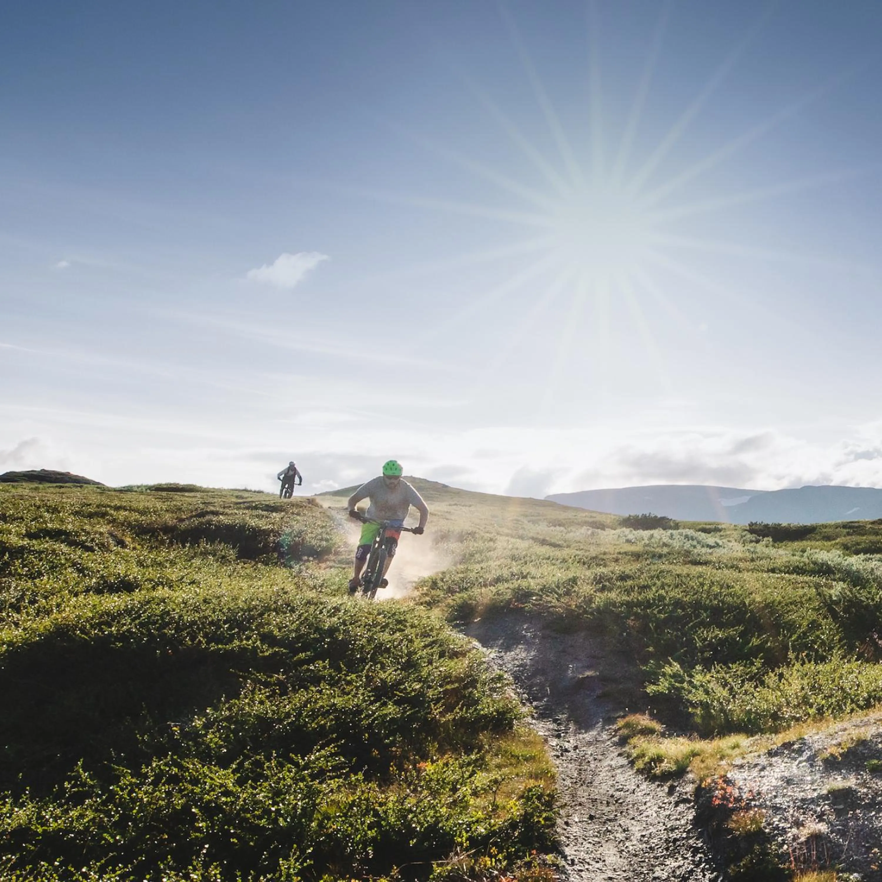 Activities in Highland Lodge Fjellandsby