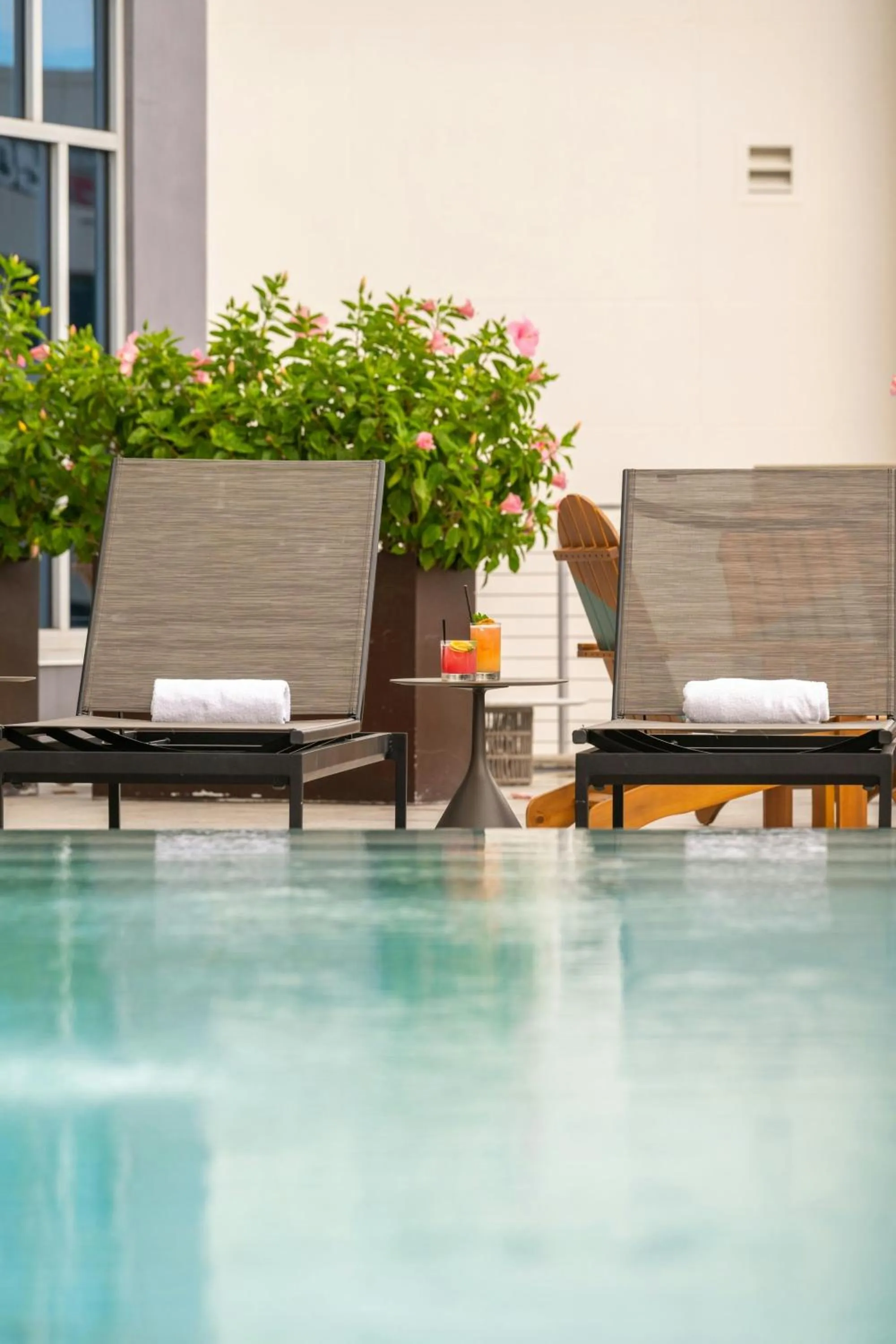 Area and facilities in Aloft - Tampa Downtown