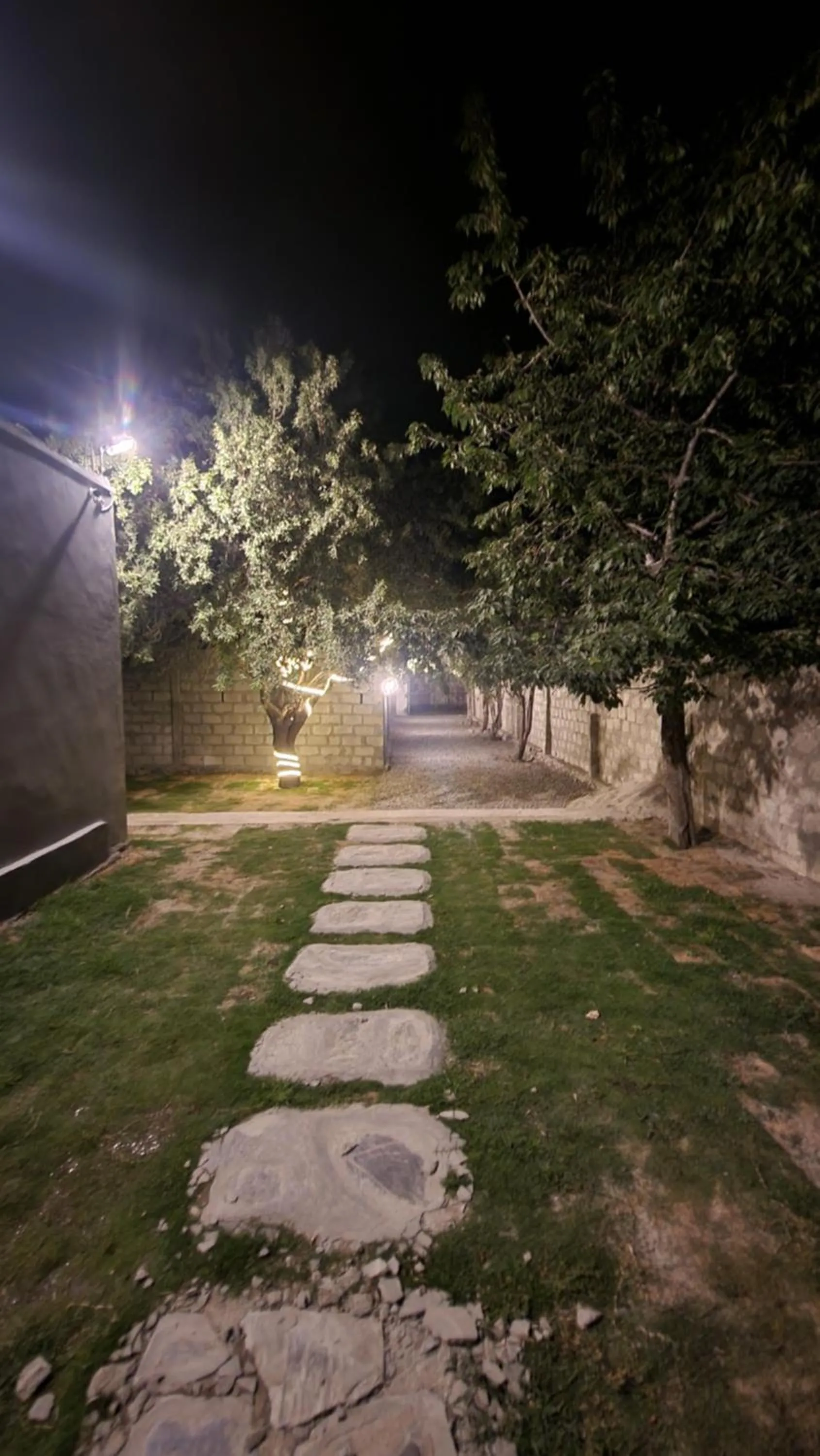 Night in Green orchard skardu