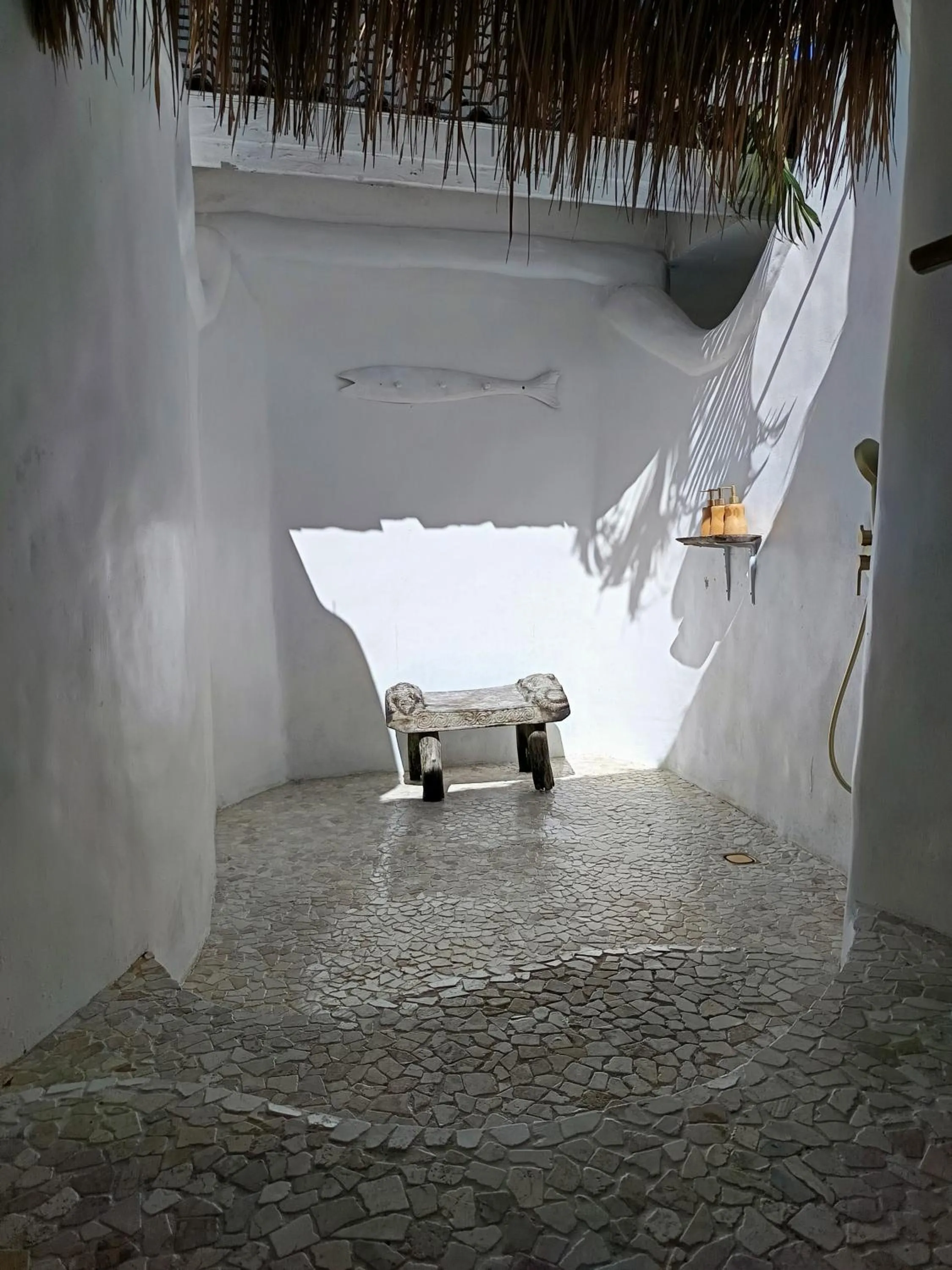 Day in Sal Secret Spot