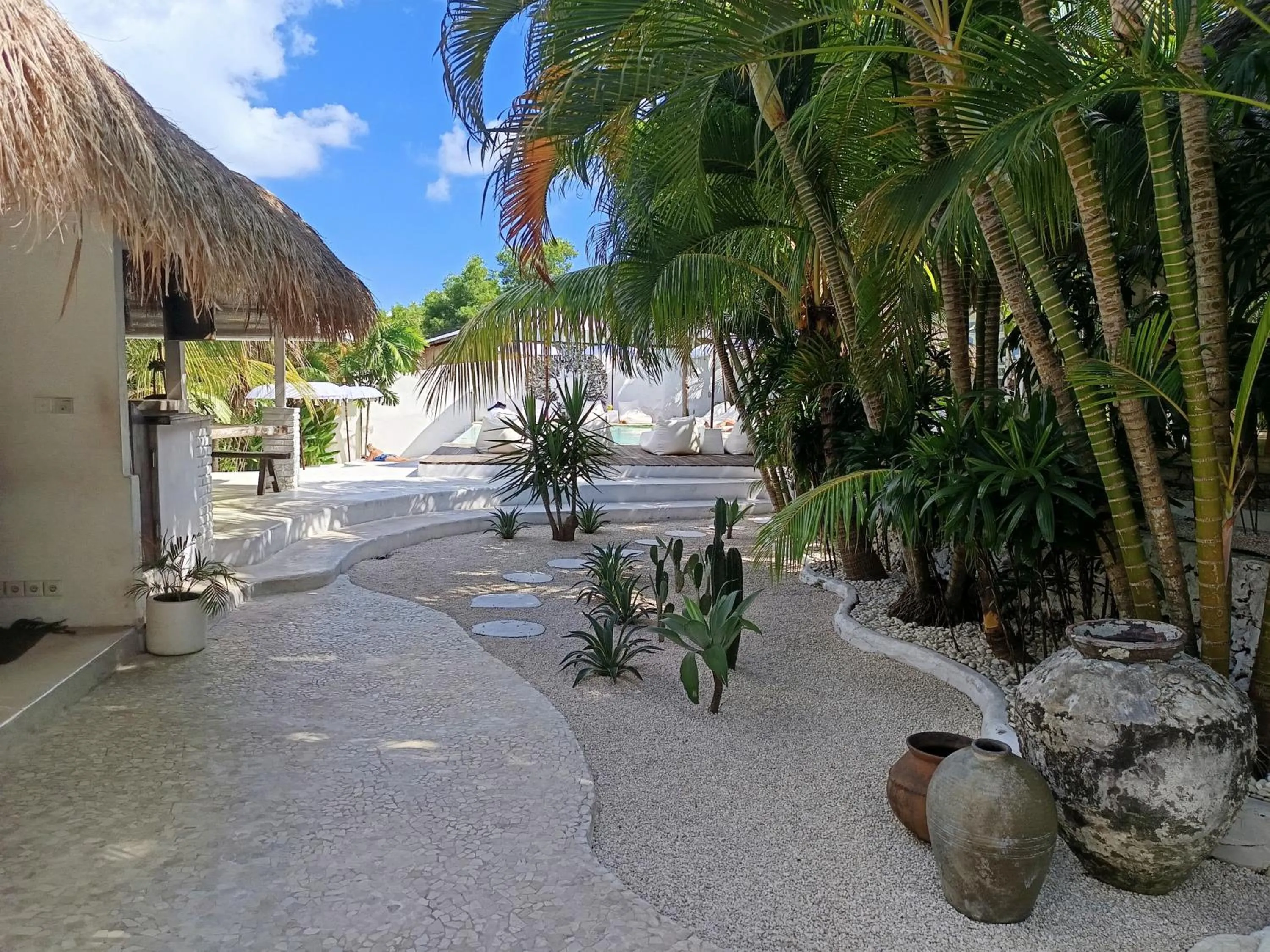 Spring in Sal Secret Spot