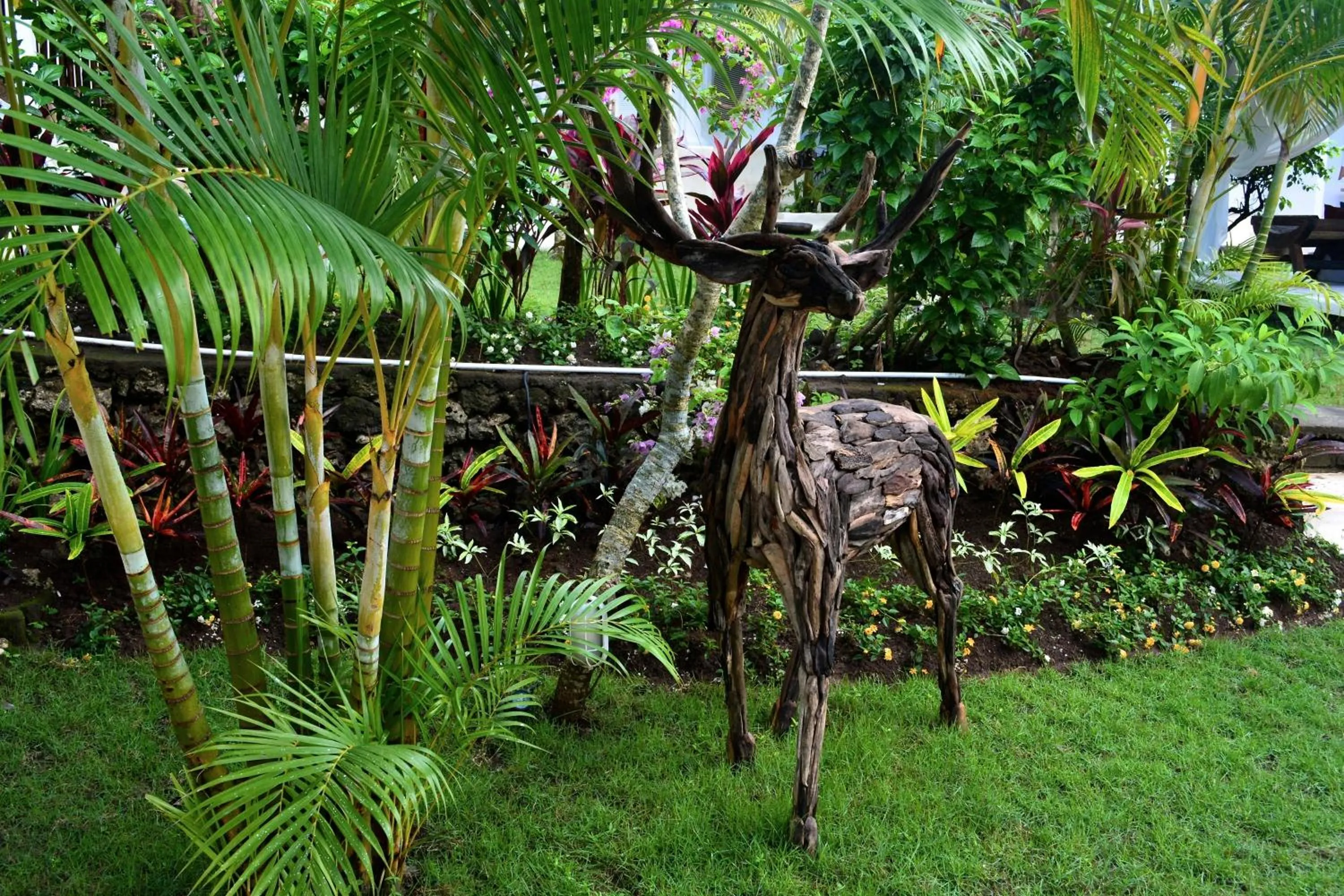 Garden in Sal Secret Spot