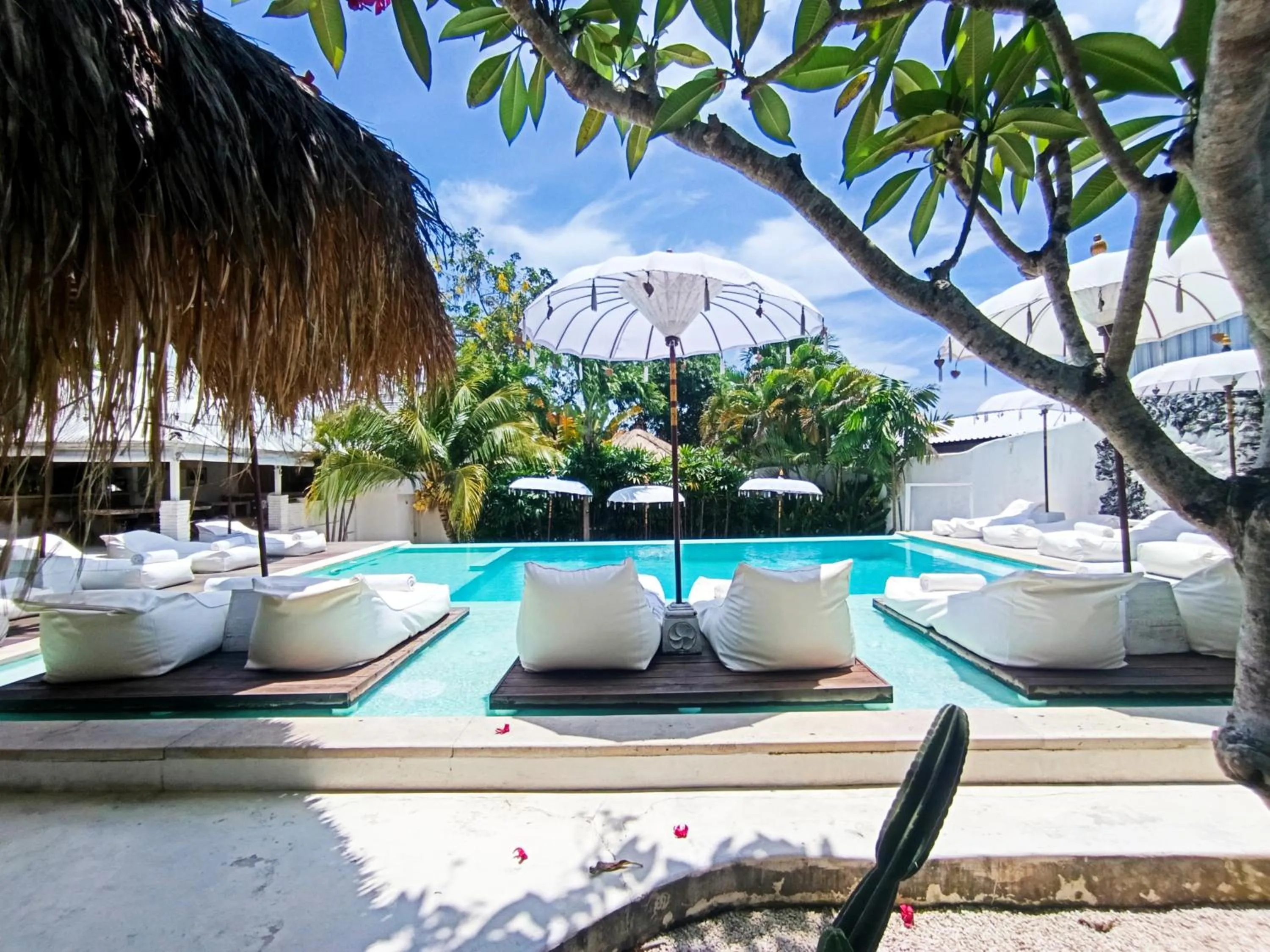 Day in Sal Secret Spot