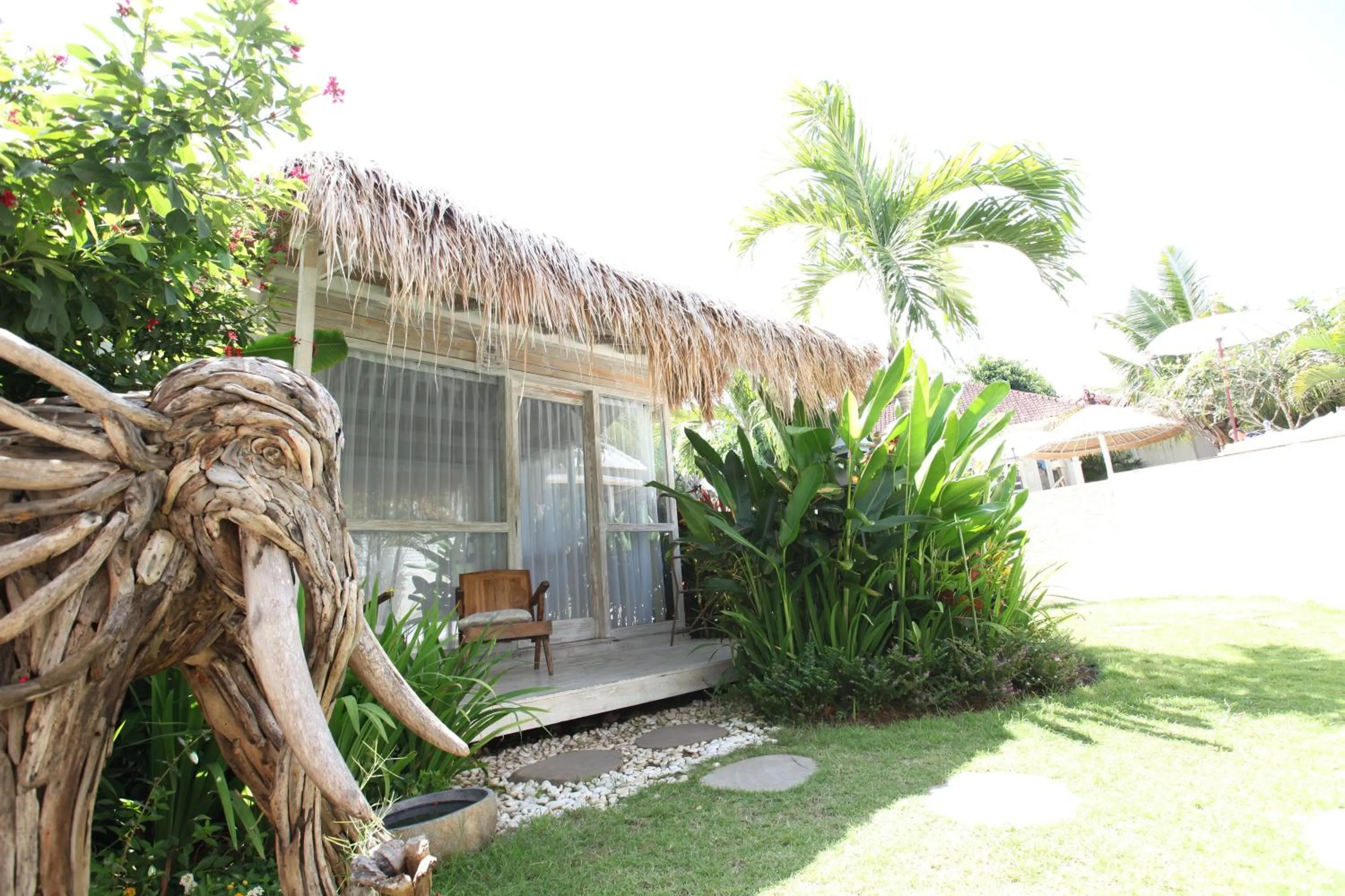 Garden in Sal Secret Spot