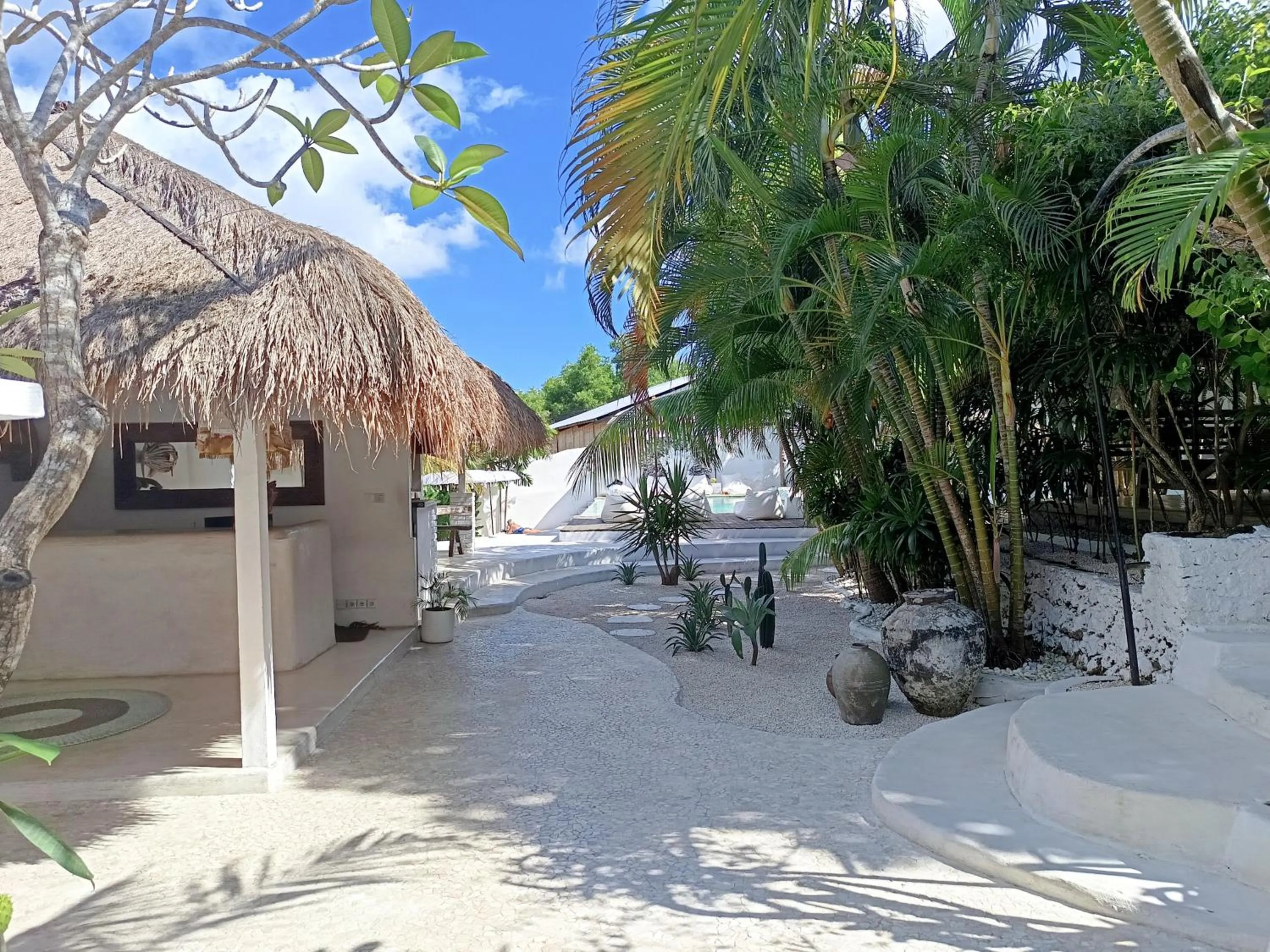 Day in Sal Secret Spot