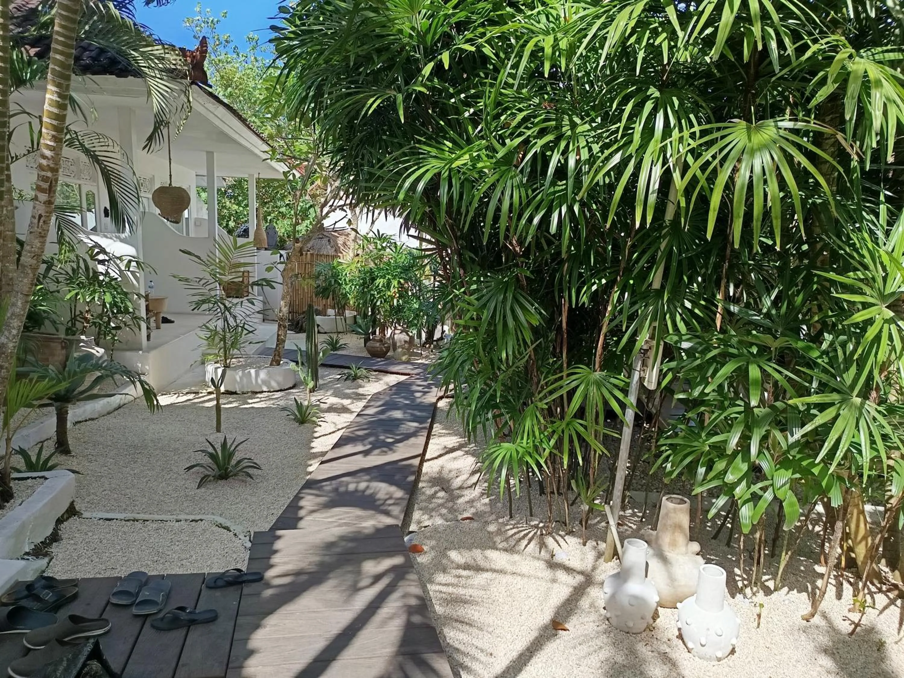 Garden in Sal Secret Spot