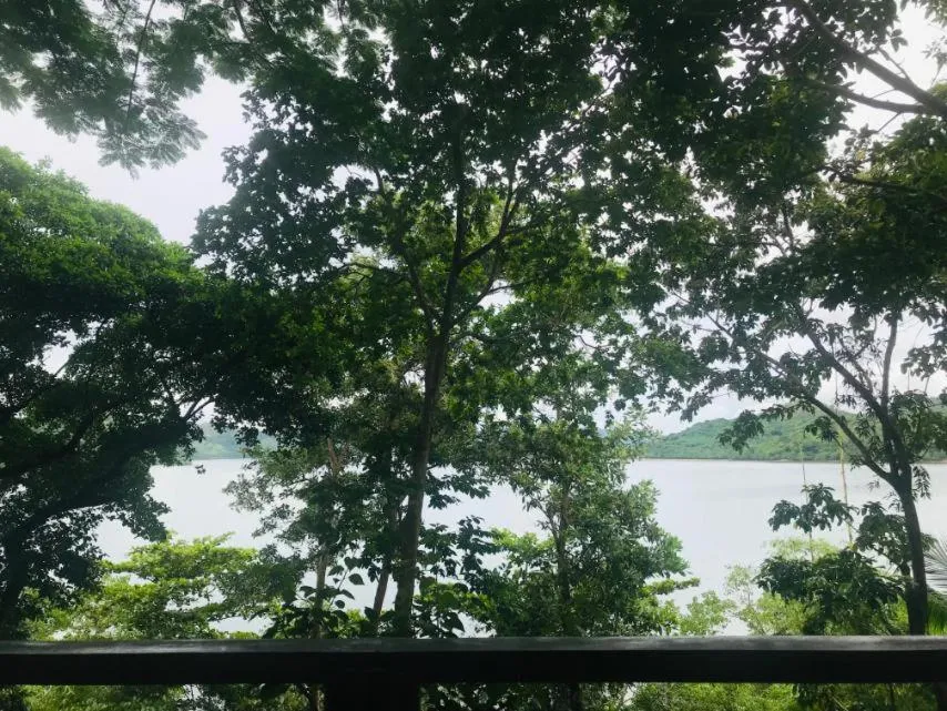 Discovery Island Resort