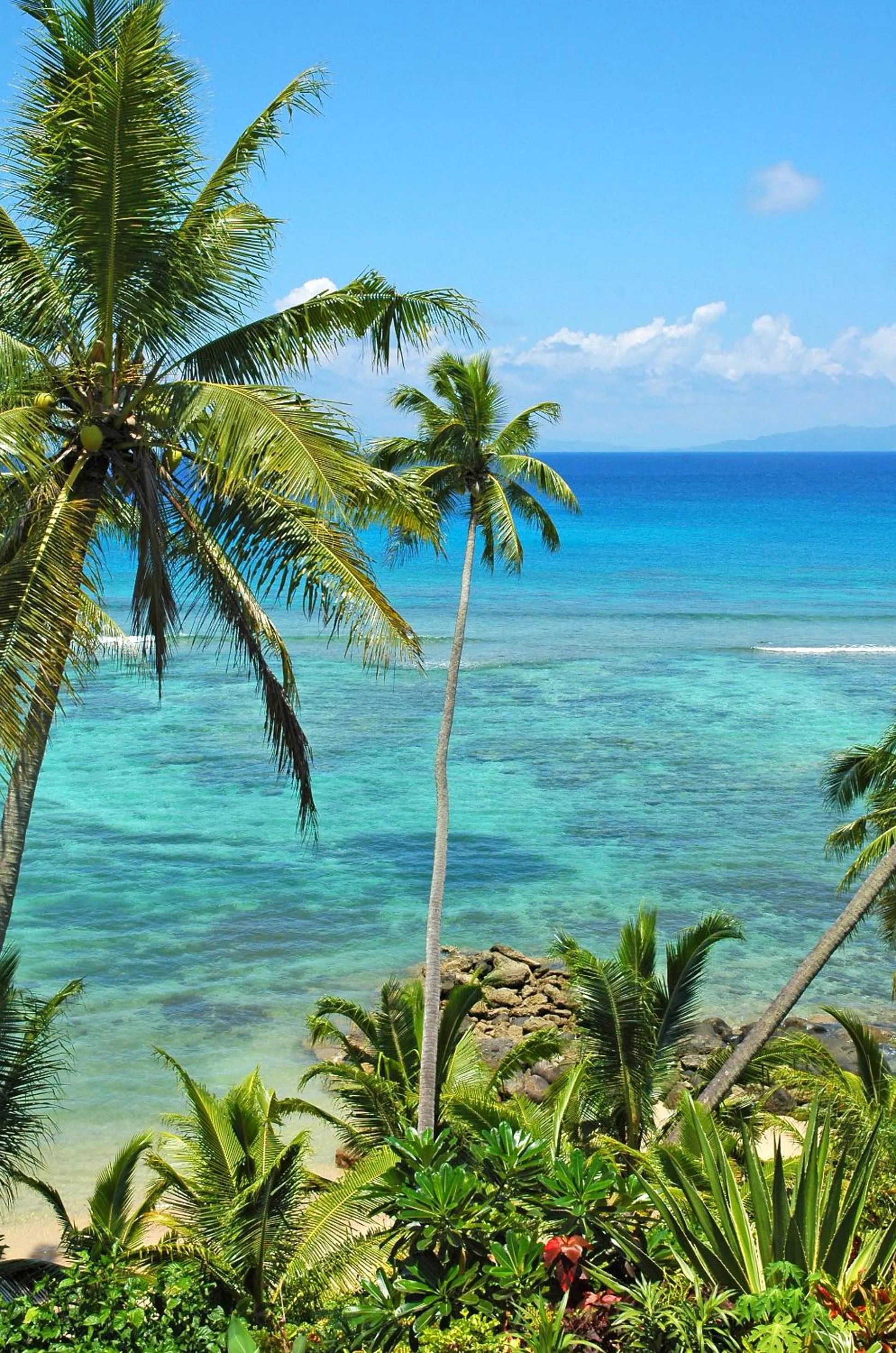 Day in Taveuni Palms Resort