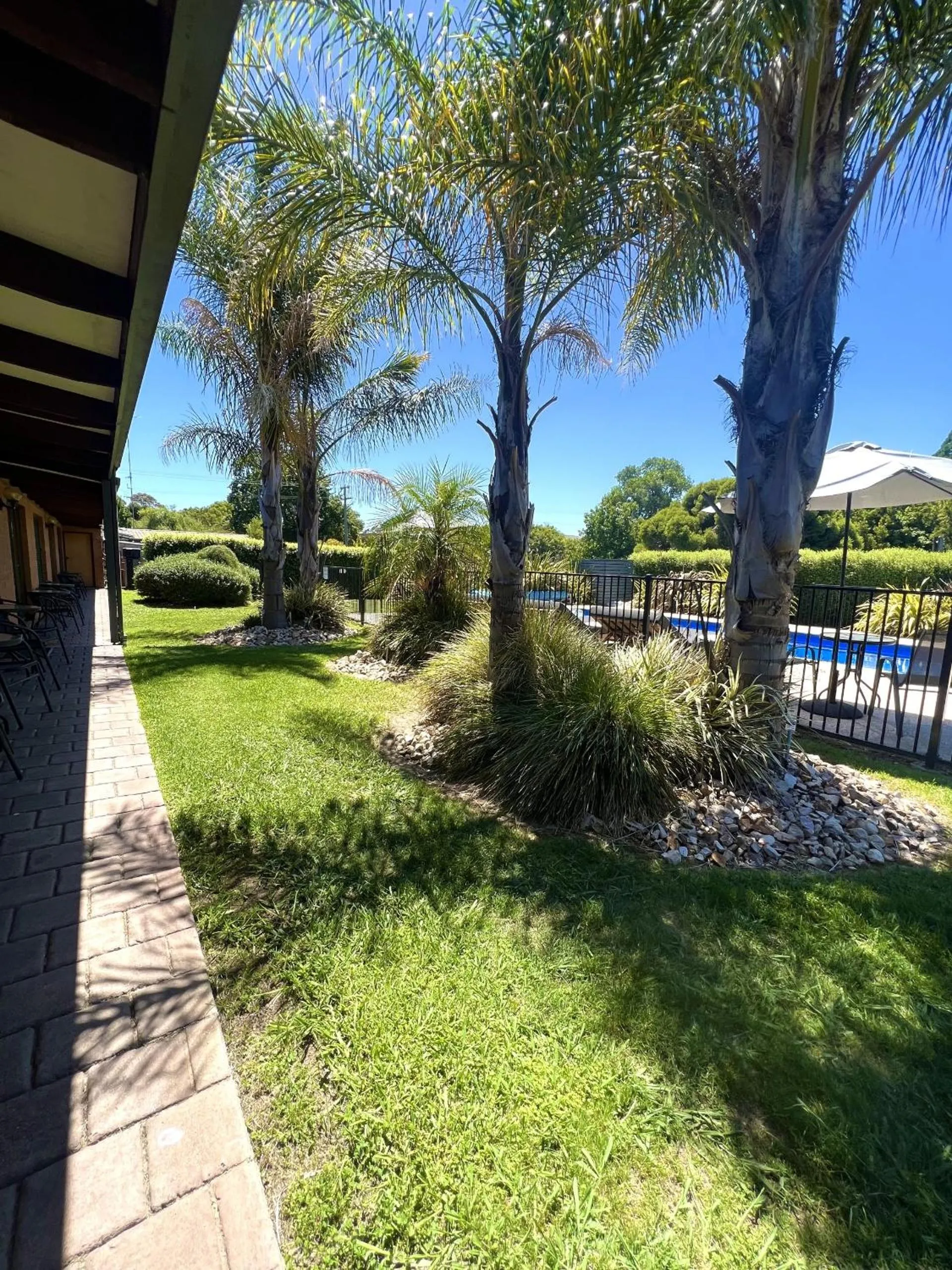Pool view in Alexandra Motor Inn