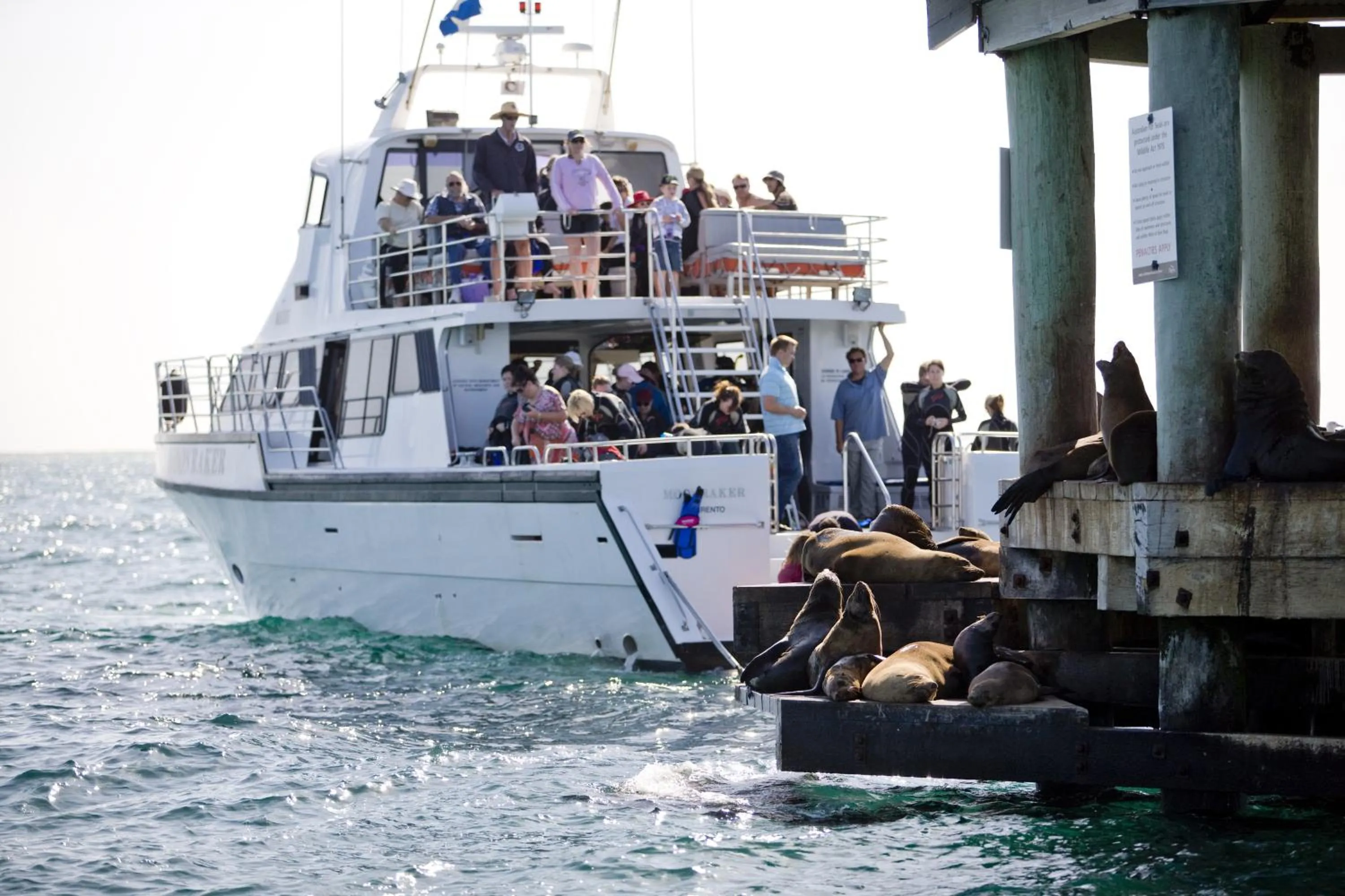 Off site in Portsea Village Resort