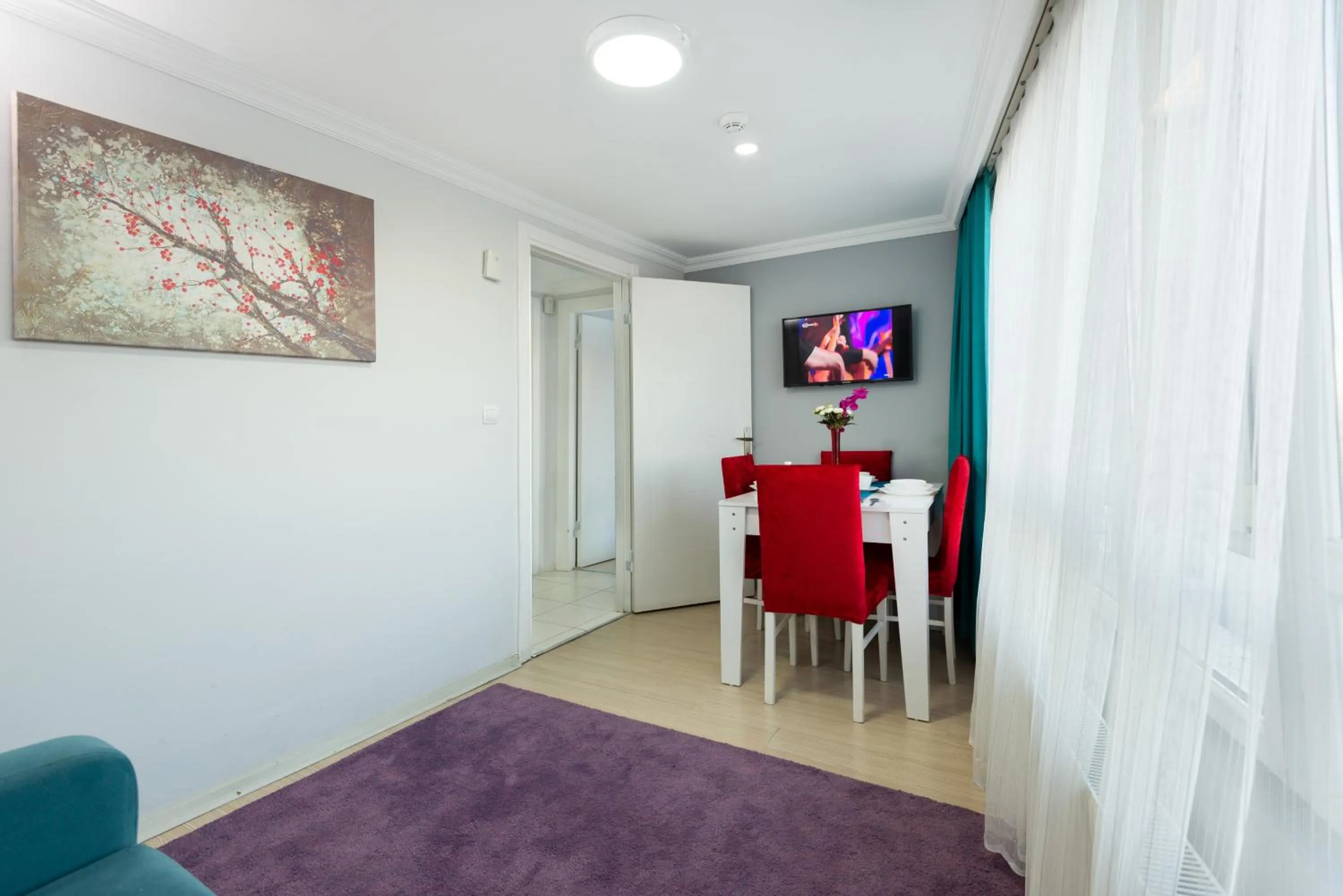 TV and multimedia in Istanbul House