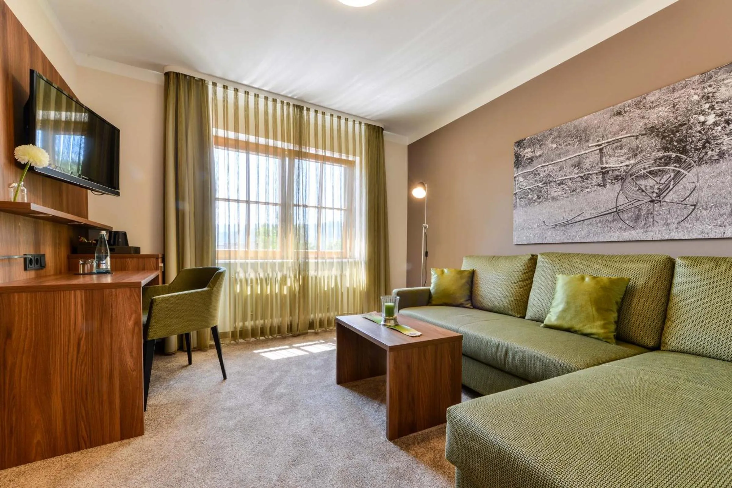 TV and multimedia in Hotel Restaurant Sonne