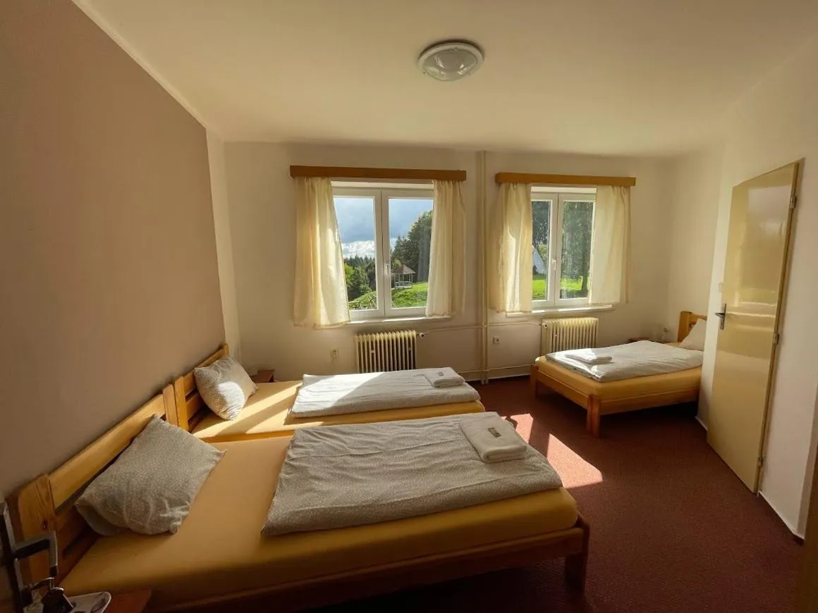 Bed in Hotel Rohanov