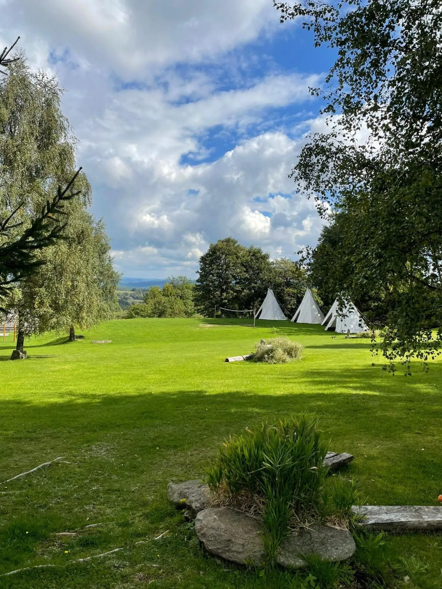 Garden view in Hotel Rohanov