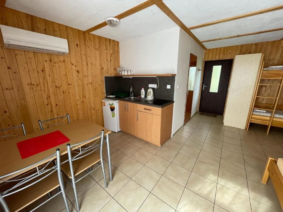 Kitchen or kitchenette in Hotel Rohanov