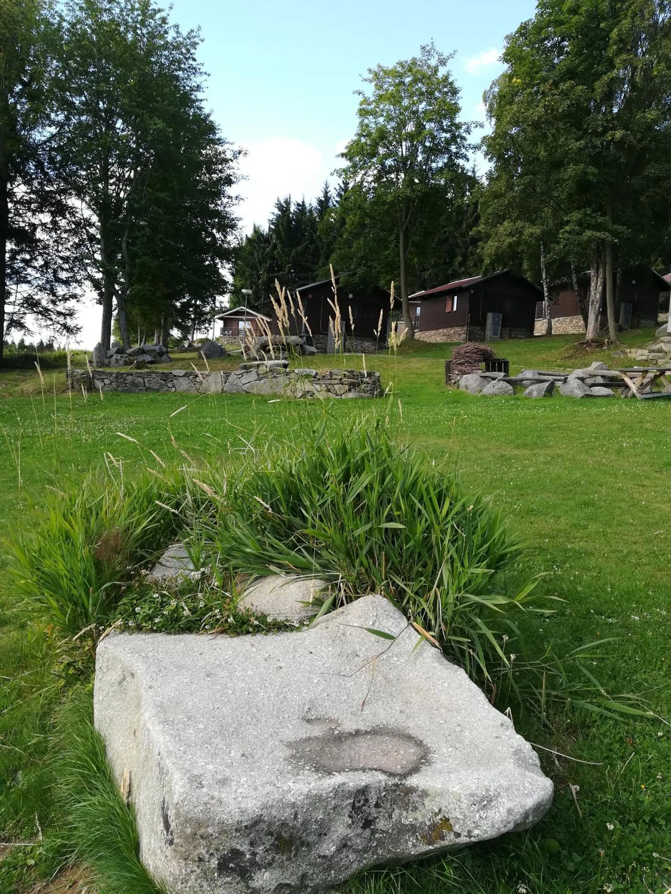 Garden in Hotel Rohanov