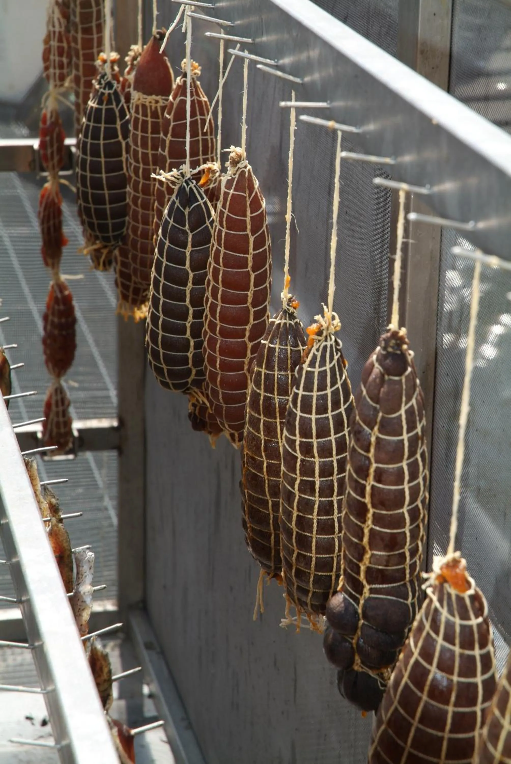 Day in La Foresta Monteisola