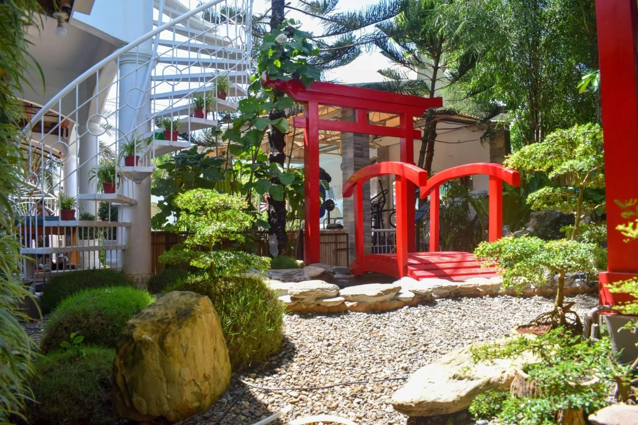 Garden in Orokasa Guesthouse