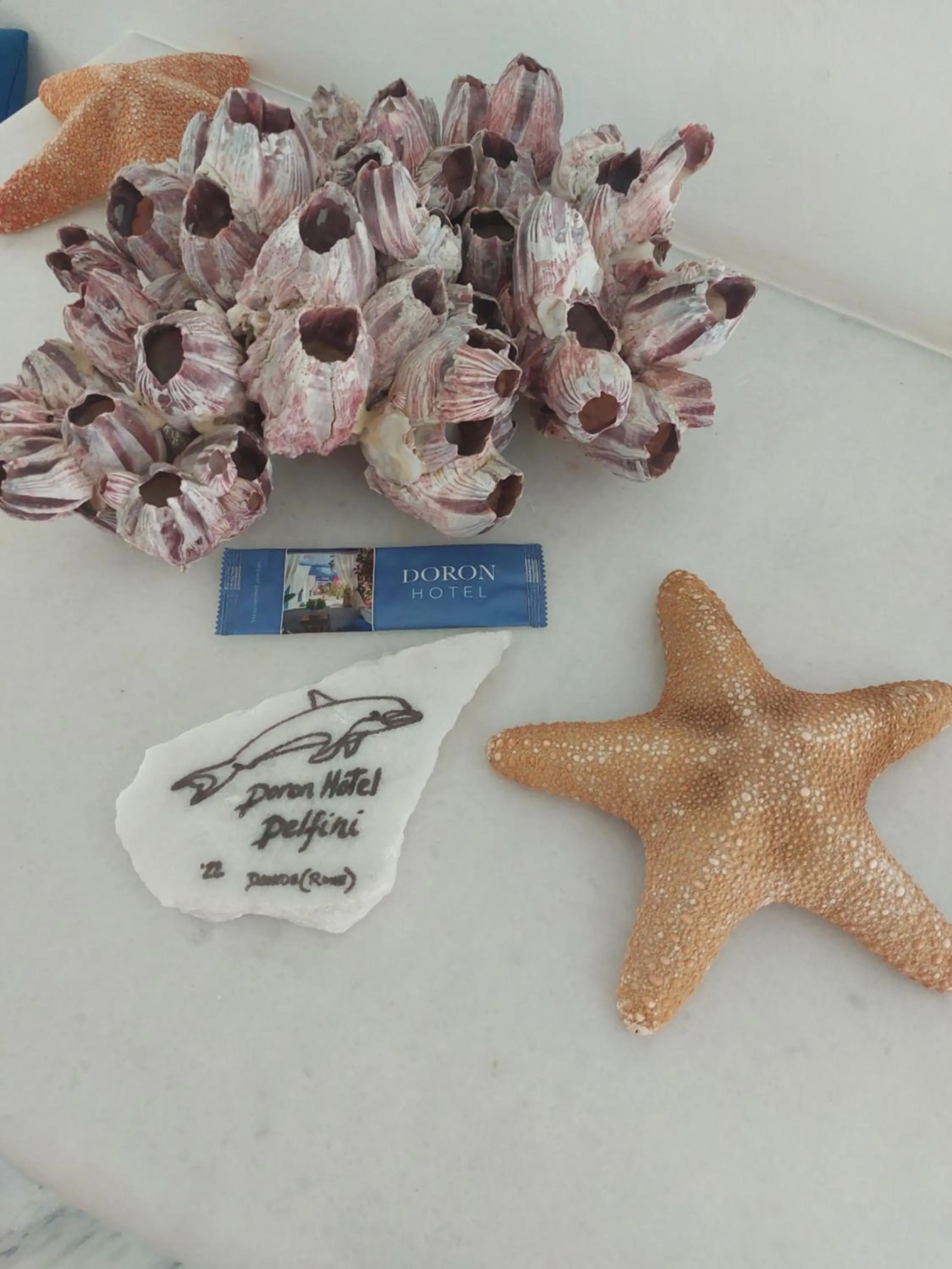 Decorative detail in Doron Hotel Delfini