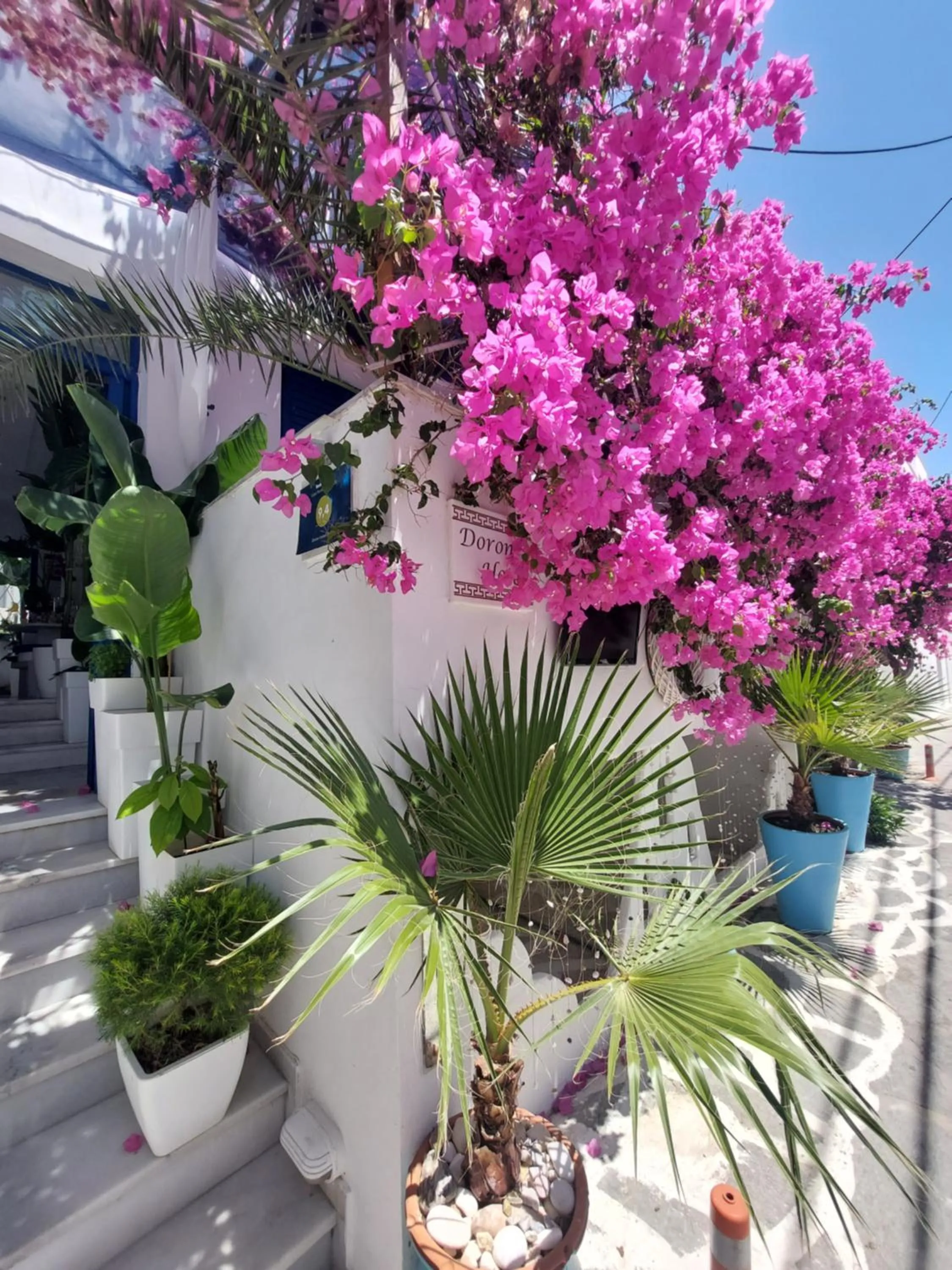 Facade/entrance in Doron Hotel Delfini