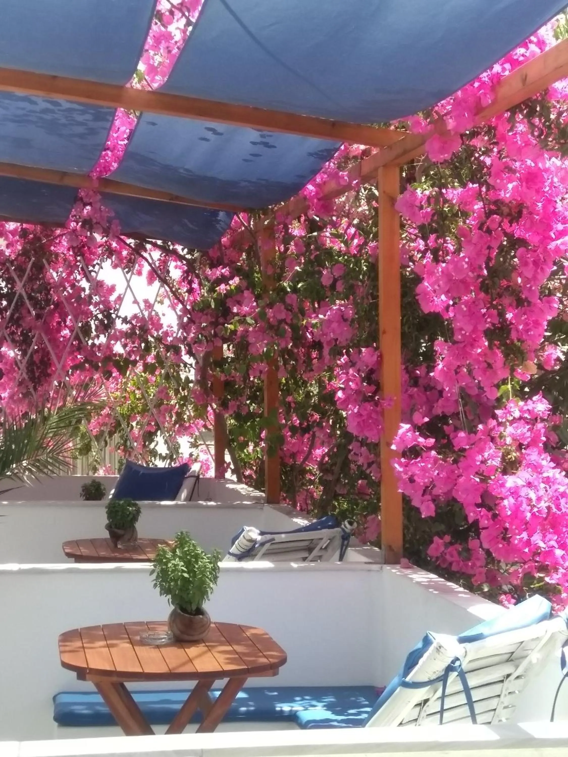 Balcony/Terrace in Doron Hotel Delfini