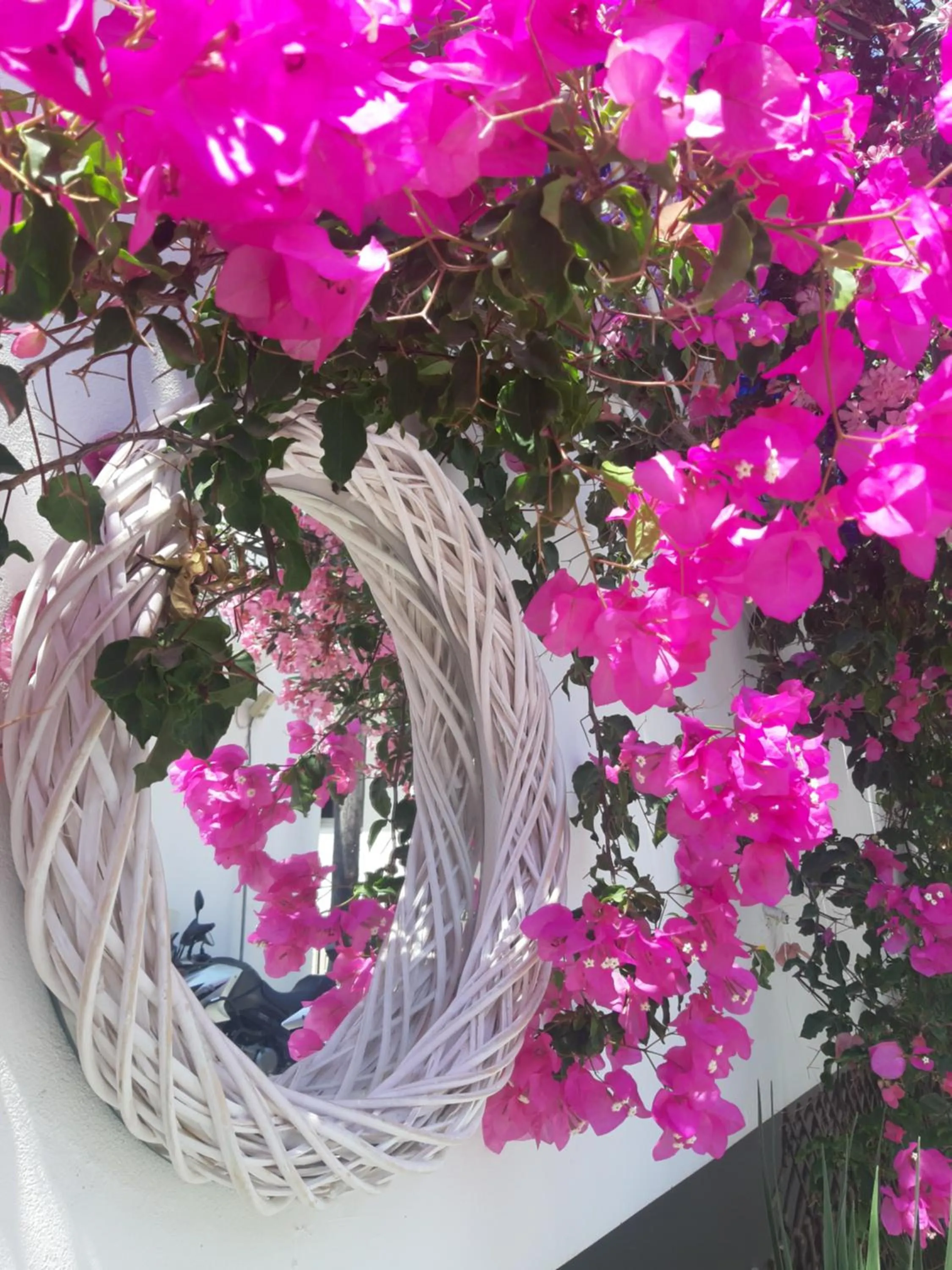 Patio in Doron Hotel Delfini