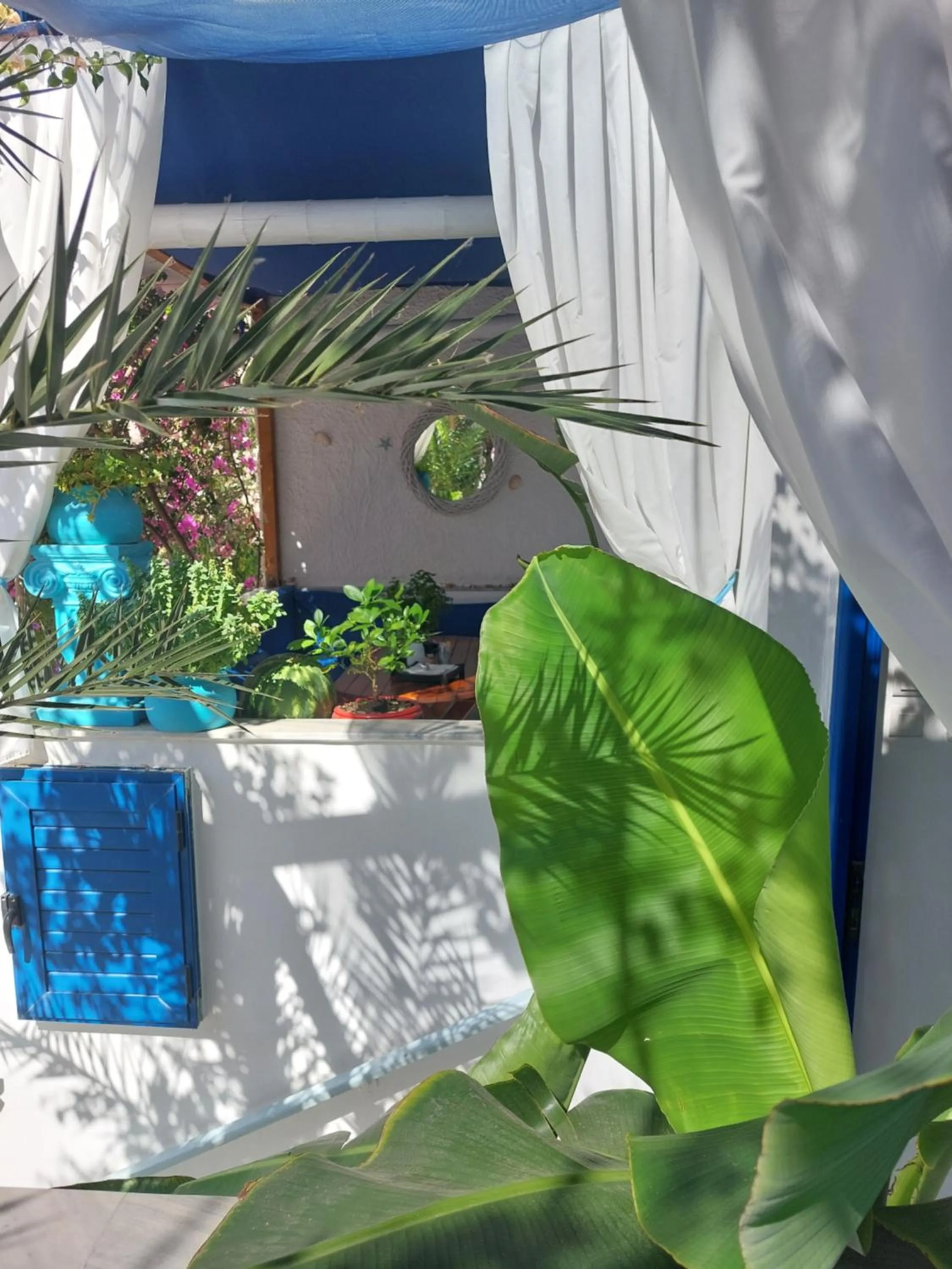 Balcony/Terrace in Doron Hotel Delfini