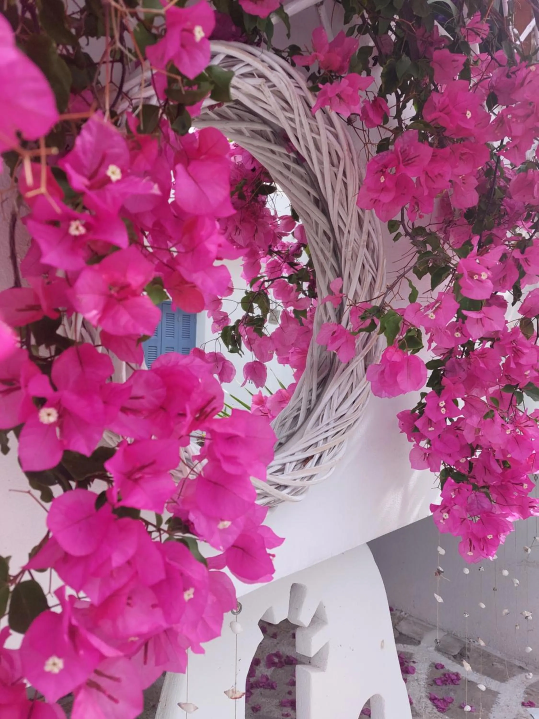 Garden view in Doron Hotel Delfini