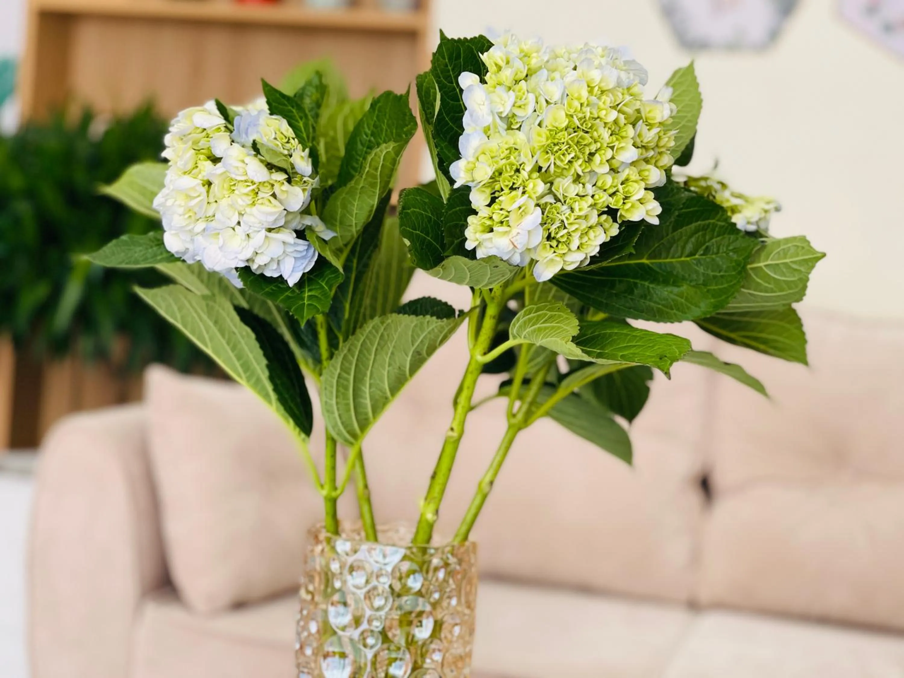 Basic Guest House Hải Phòng