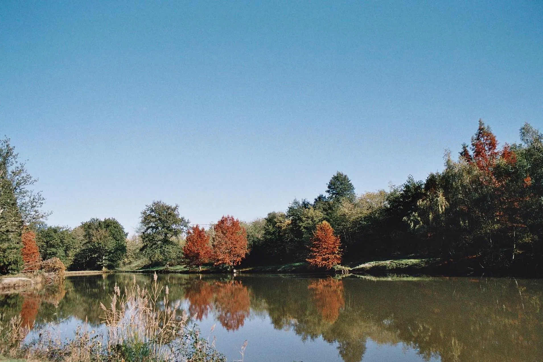 Natural landscape in Au Grand Pré