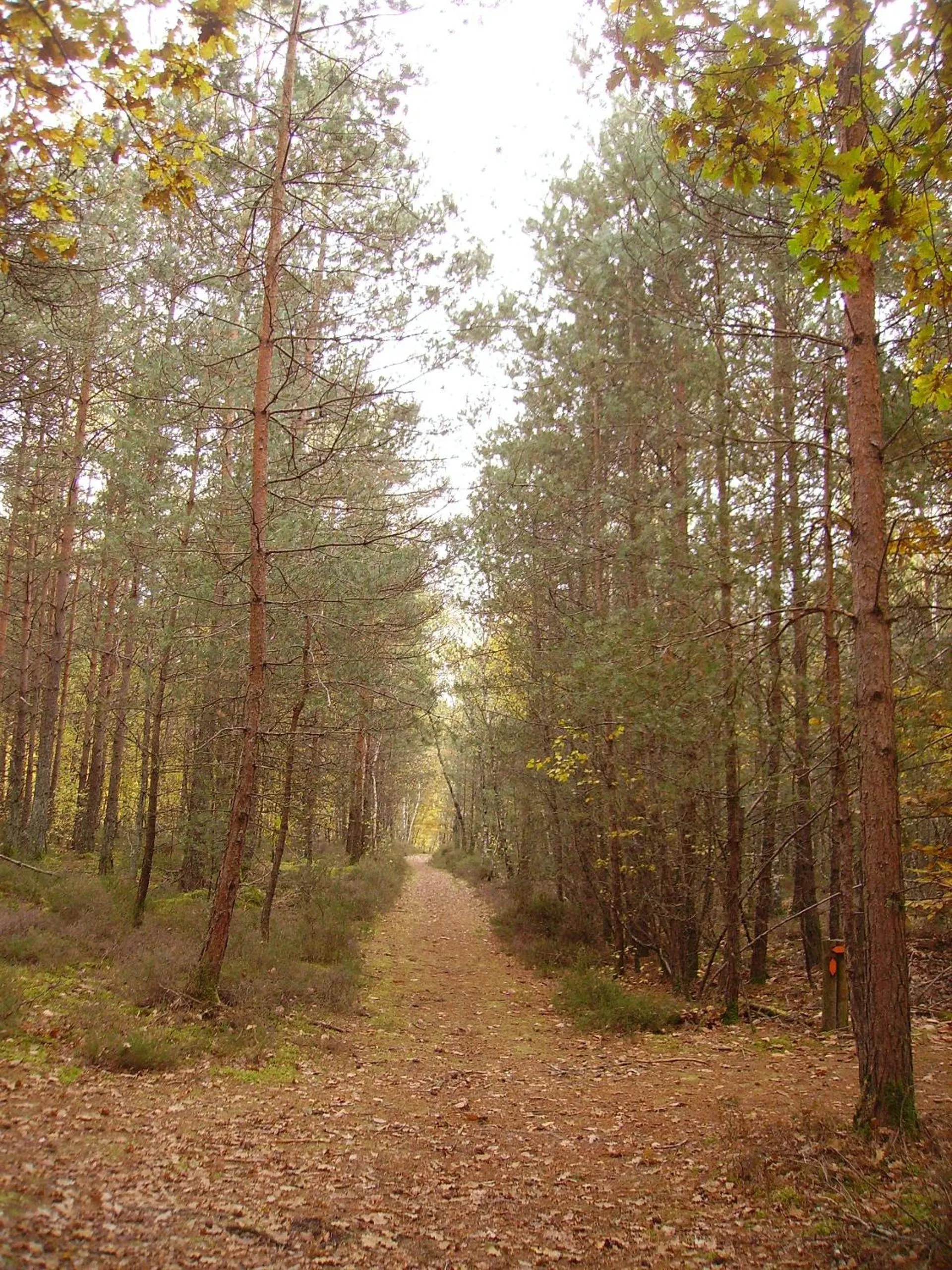 Hiking in Au Grand Pré