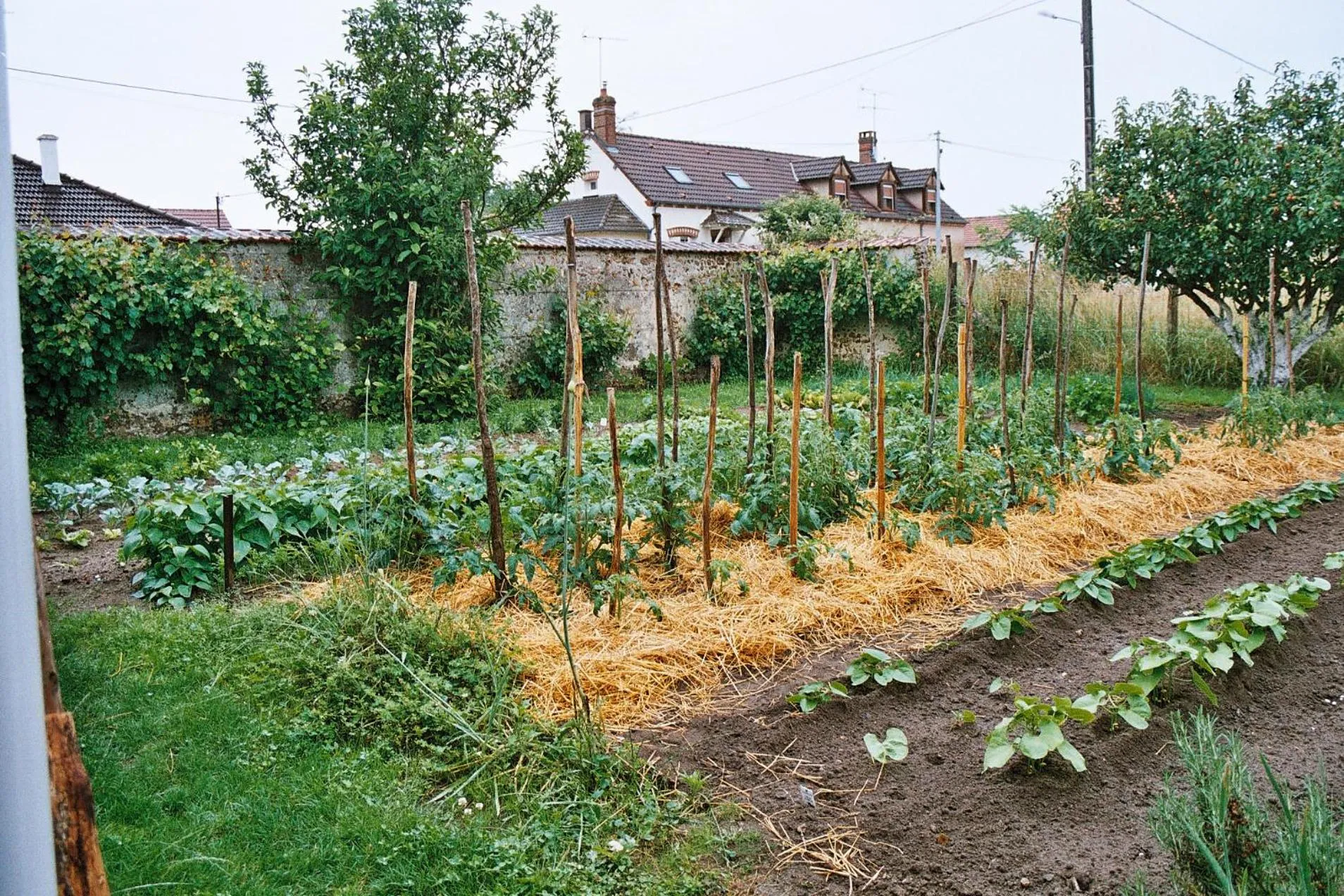 Garden in Au Grand Pré