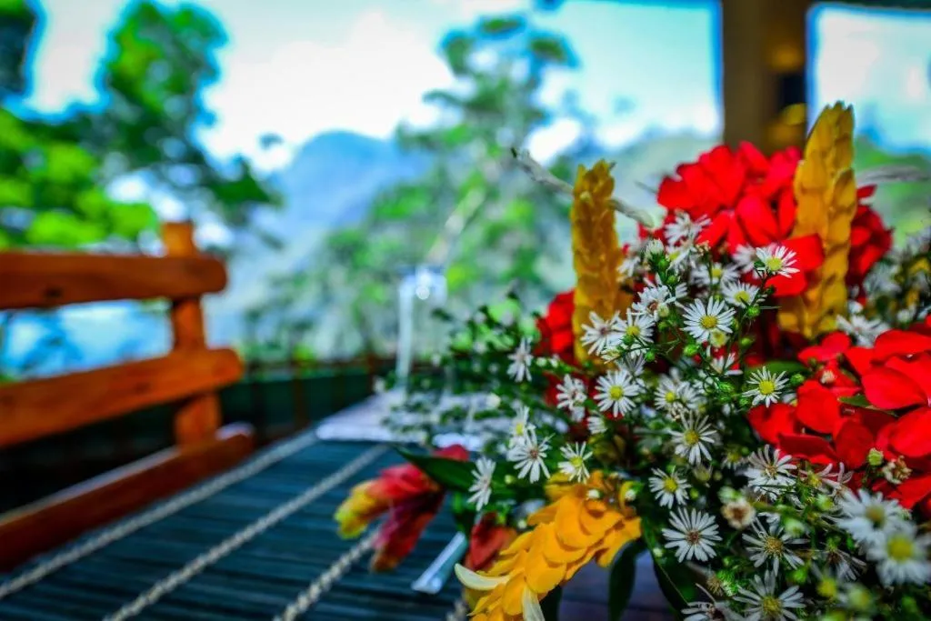 Spring in Ella Rock Heaven