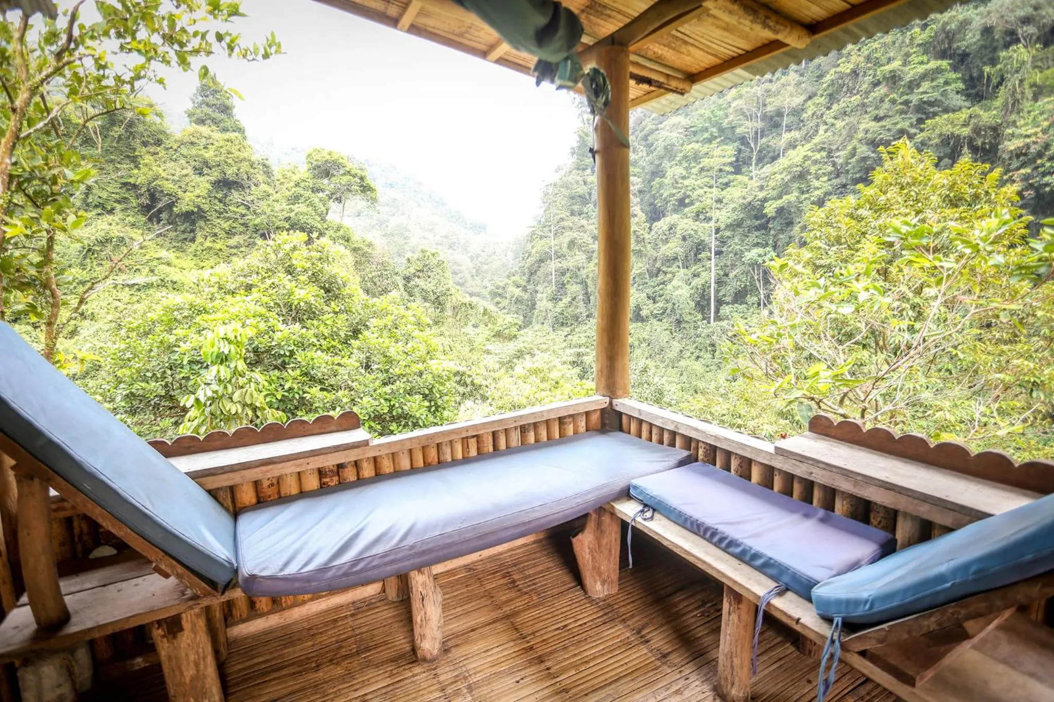 Balcony/Terrace in Back to Nature Ecotourism